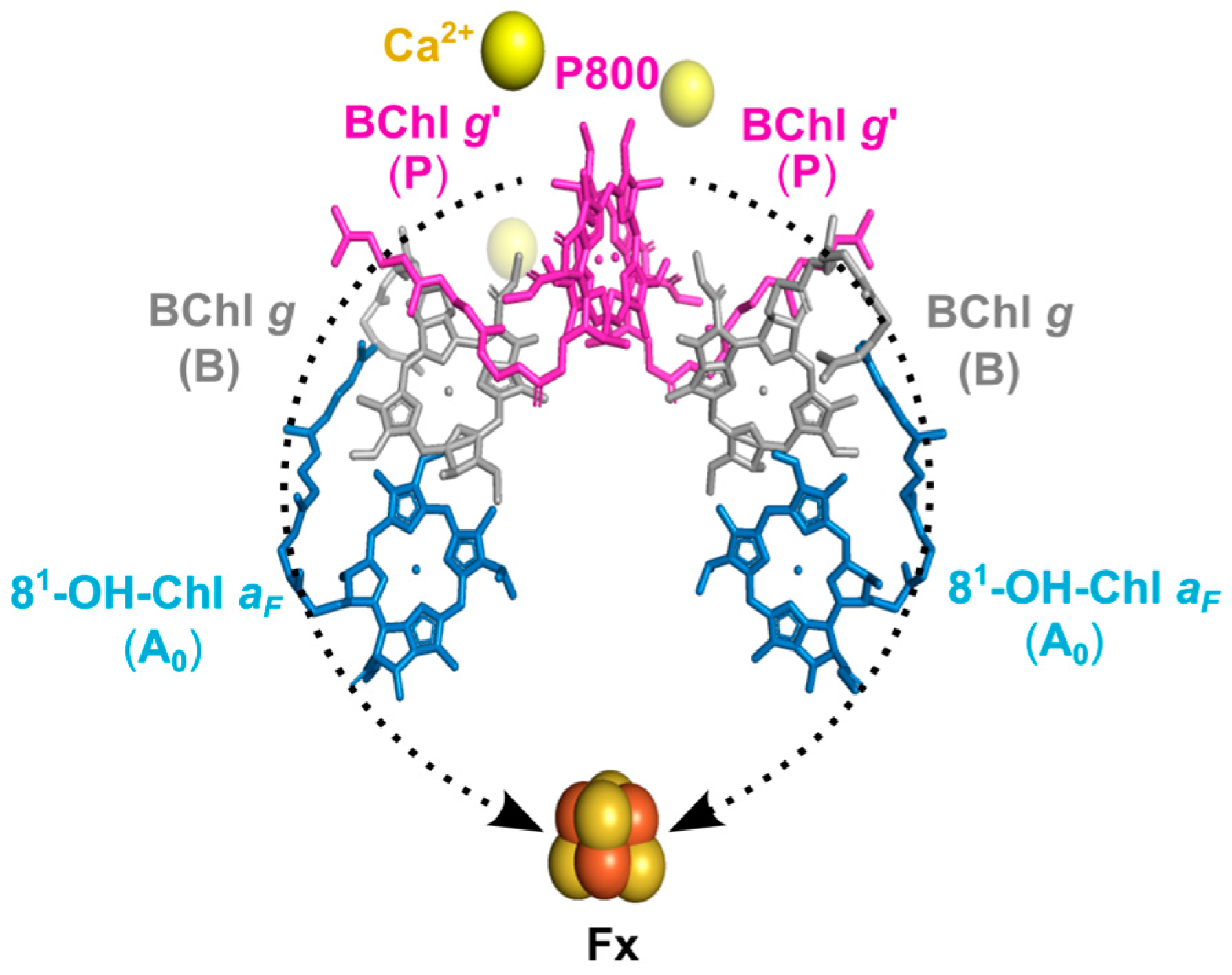 Molecules 29 01021 g001 Molecules 29 01021 g001