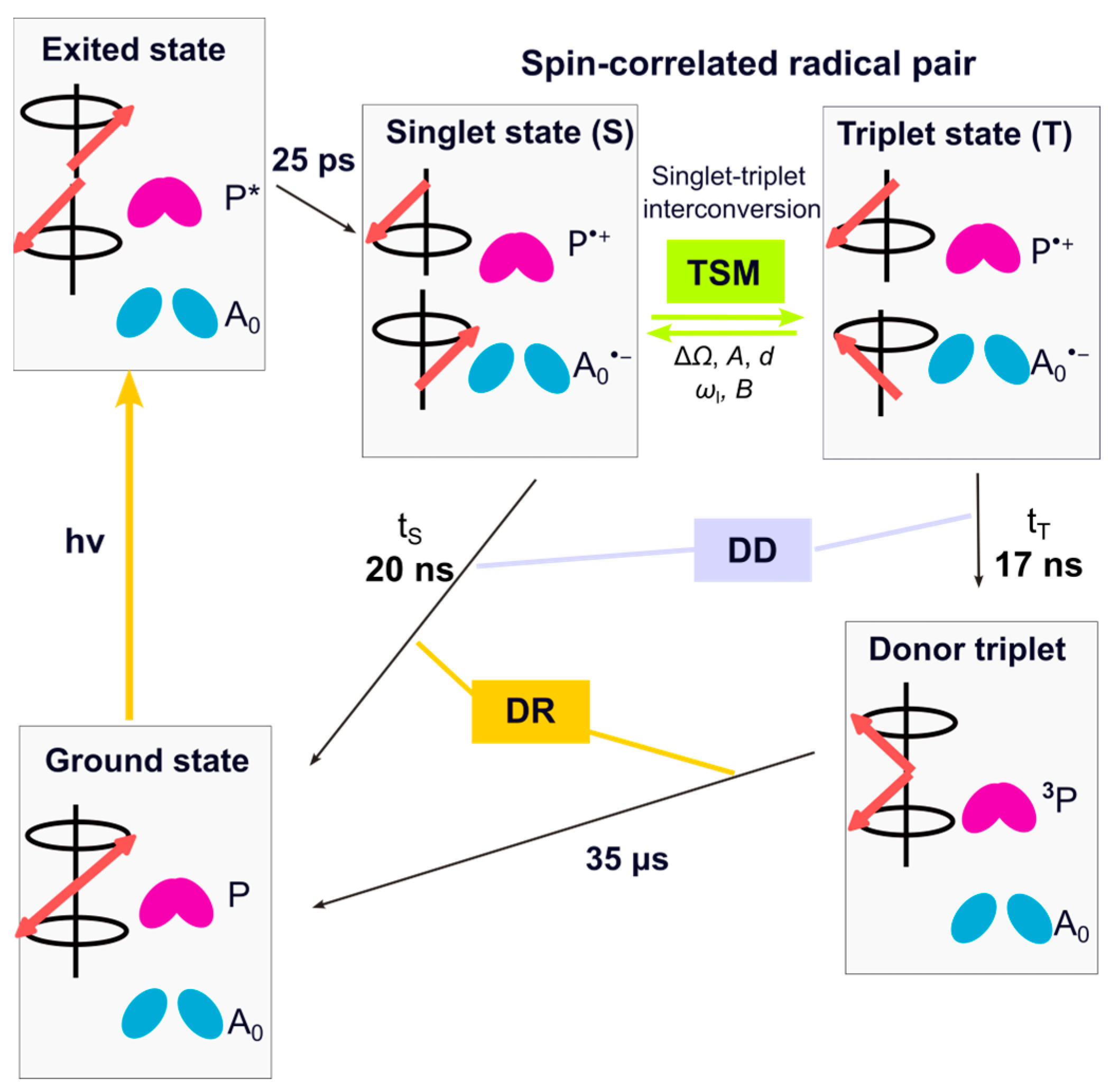 Molecules 29 01021 g002 Molecules 29 01021 g002