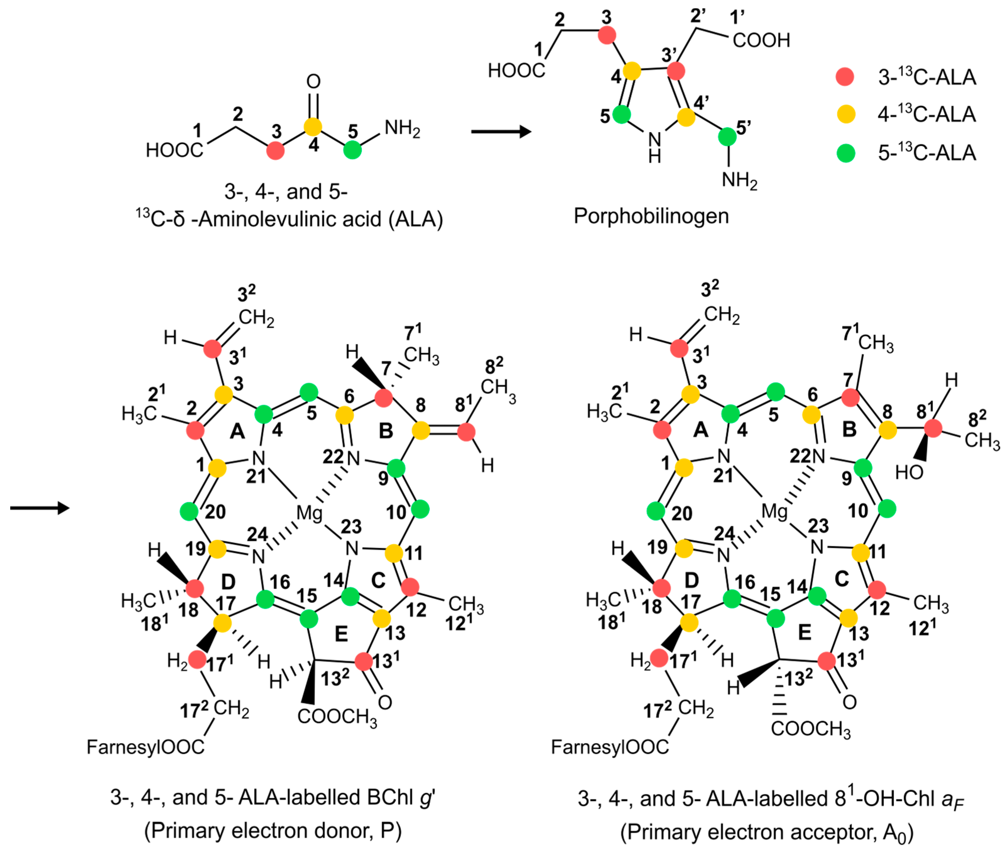 Molecules 29 01021 g003 Molecules 29 01021 g003