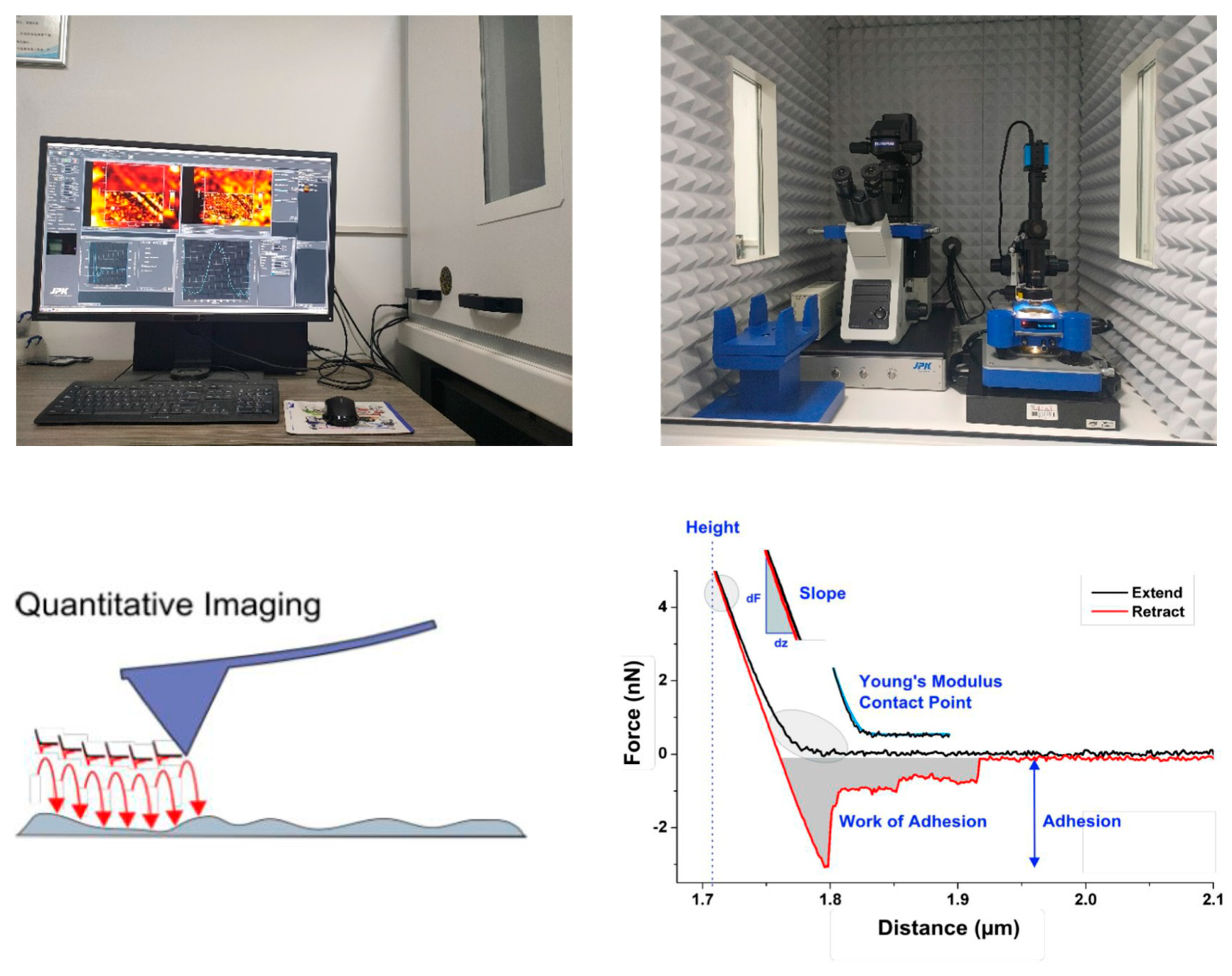 Molecules 29 01034 g012