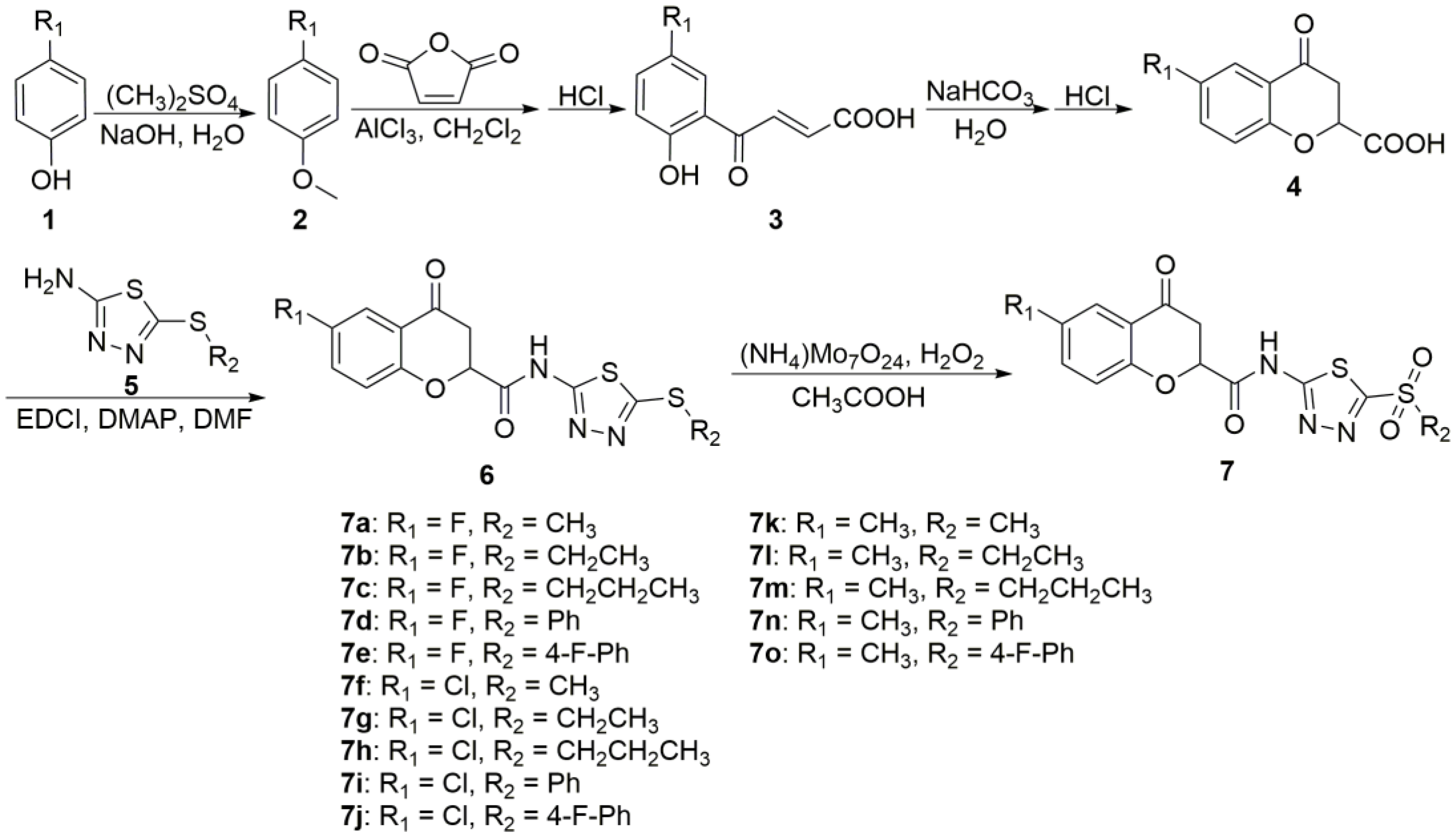Molecules 29 01045 g002
