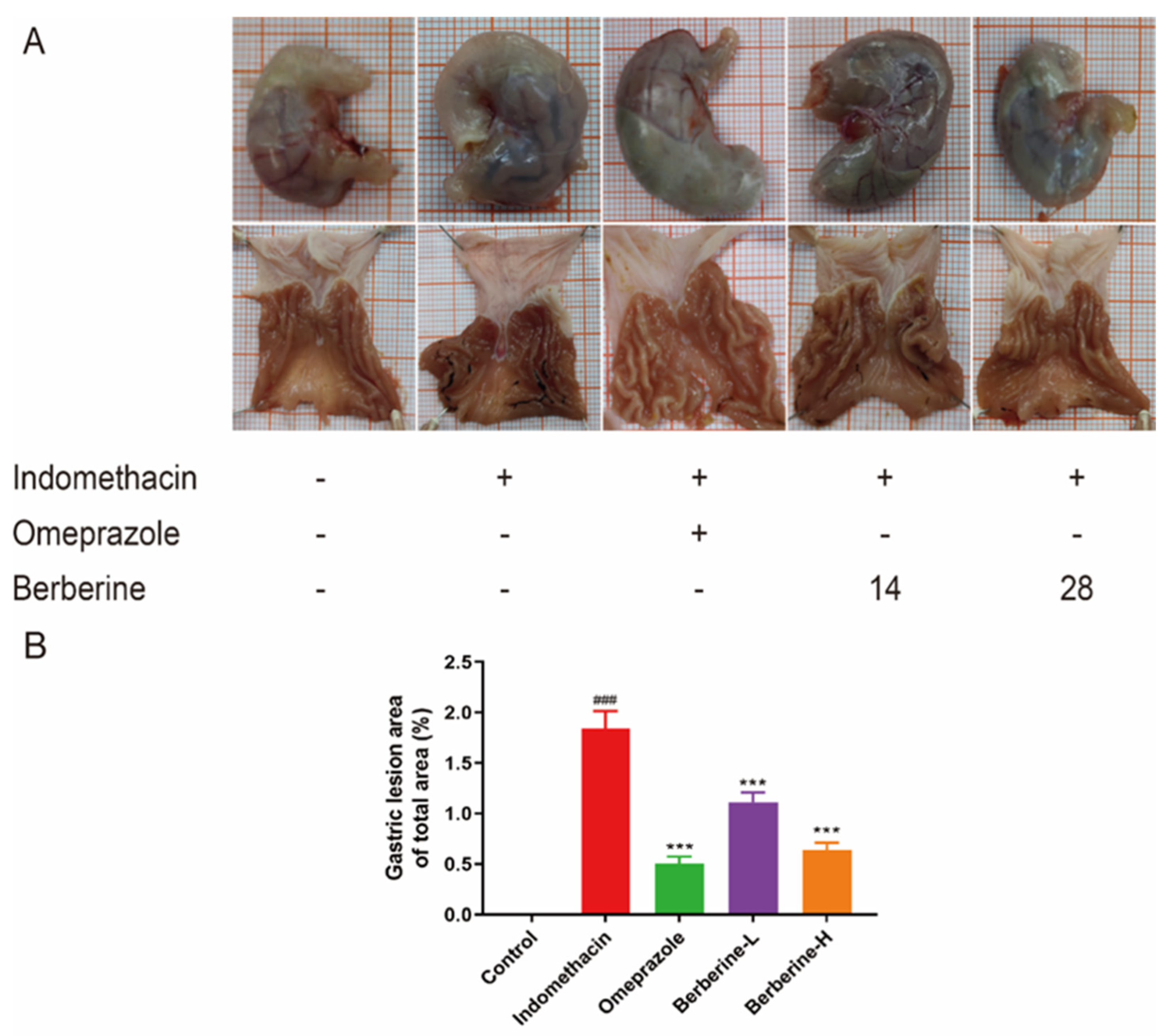 Molecules 29 01055 g002
