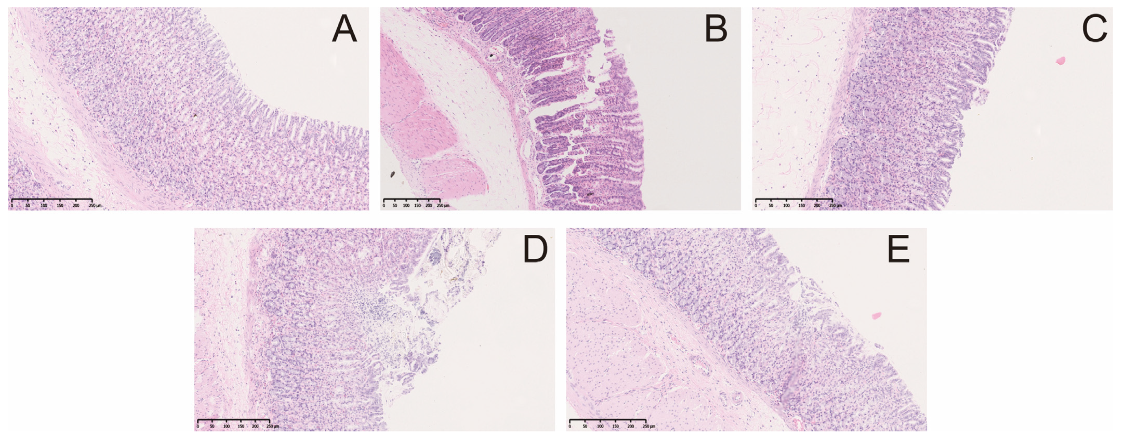 Molecules 29 01055 g003