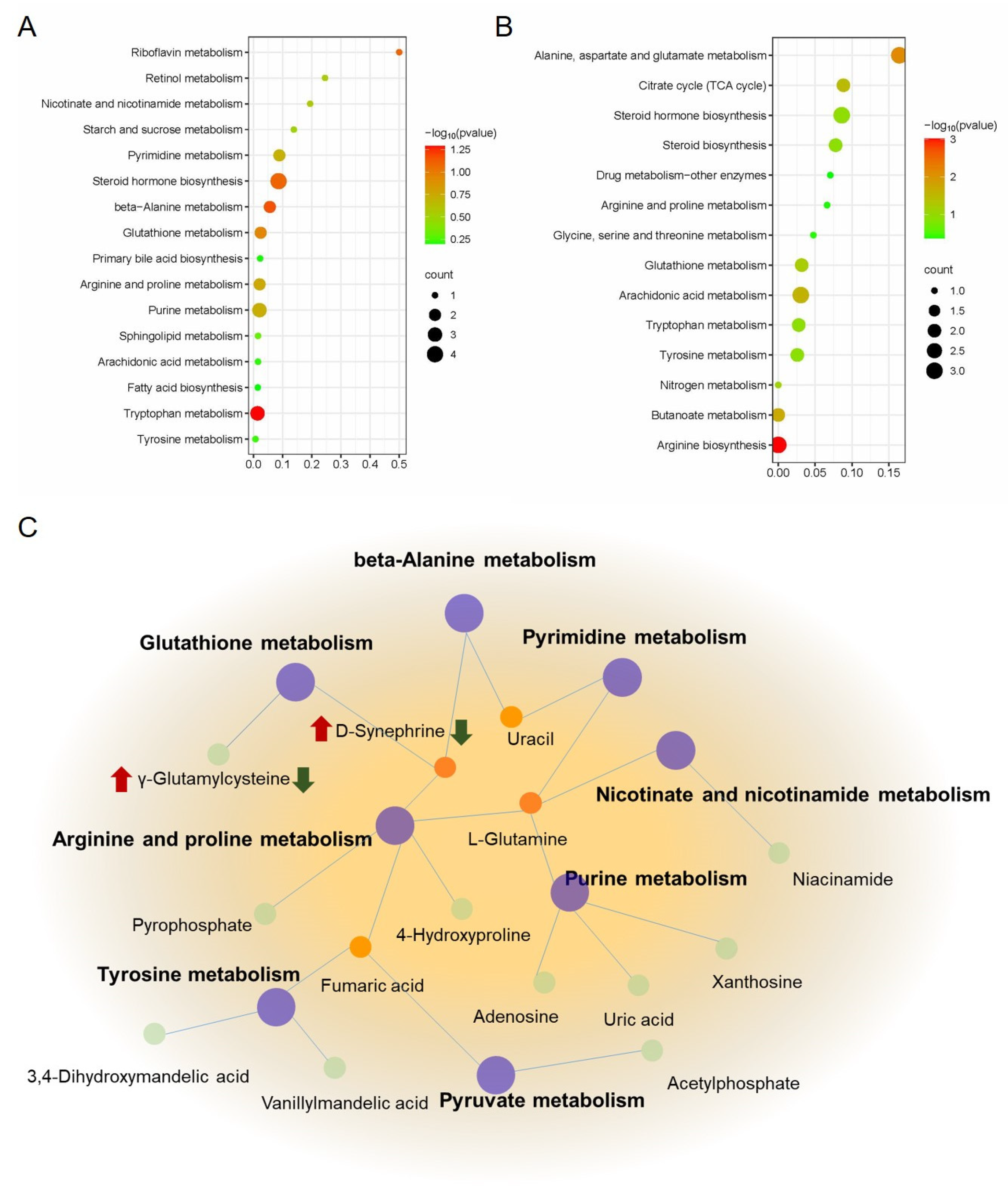 Molecules 29 01055 g008