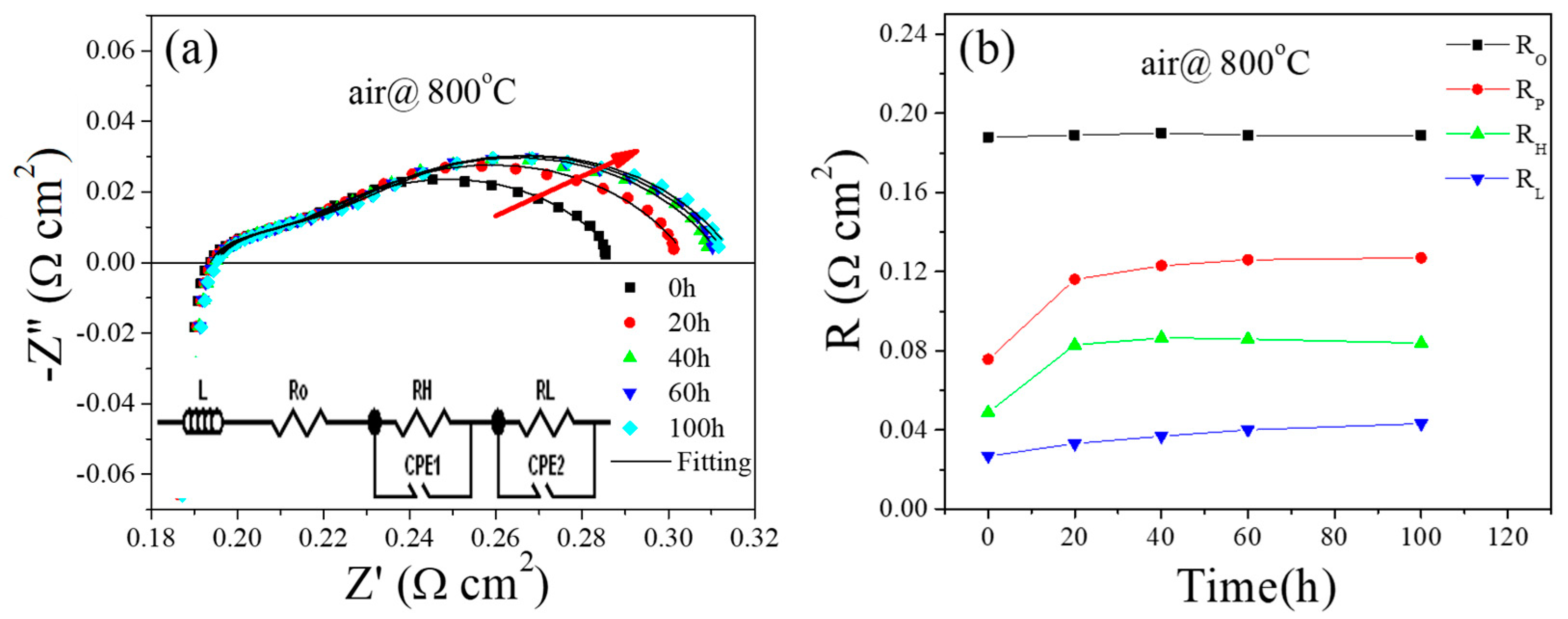 Molecules 29 01063 g001