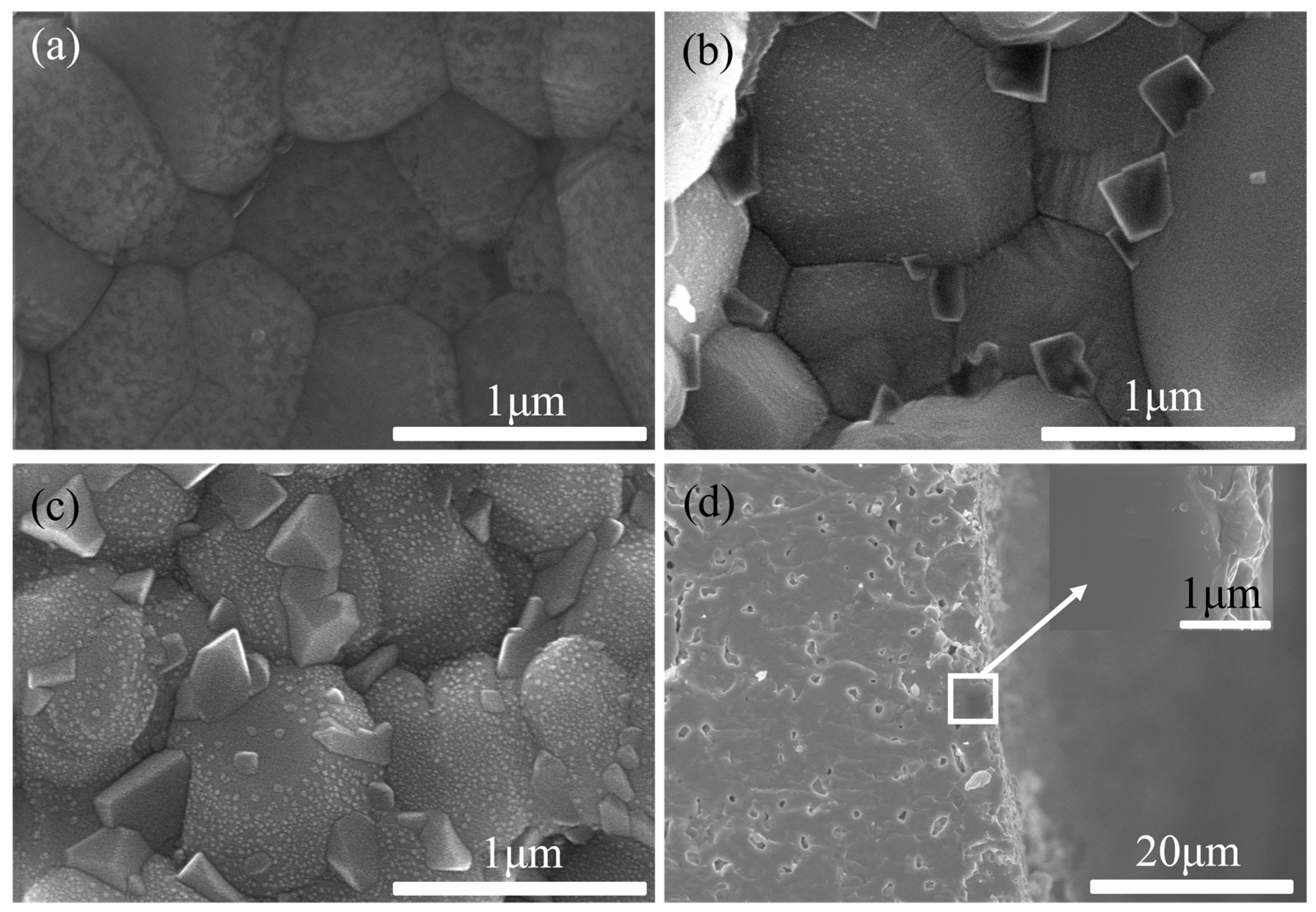 Molecules 29 01063 g004