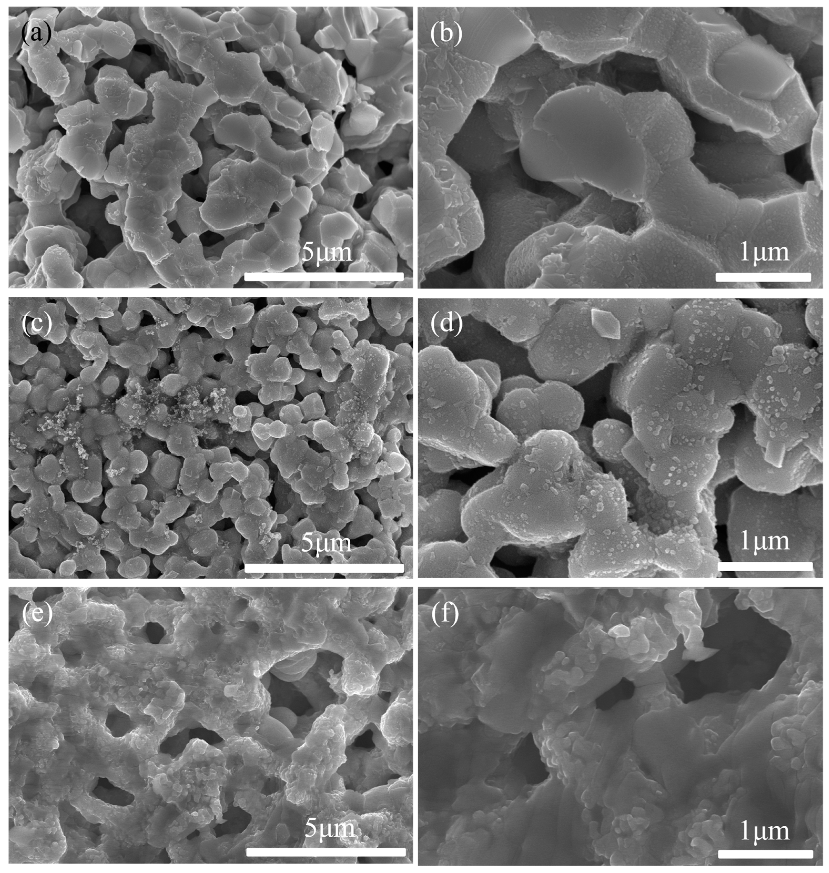 Molecules 29 01063 g006