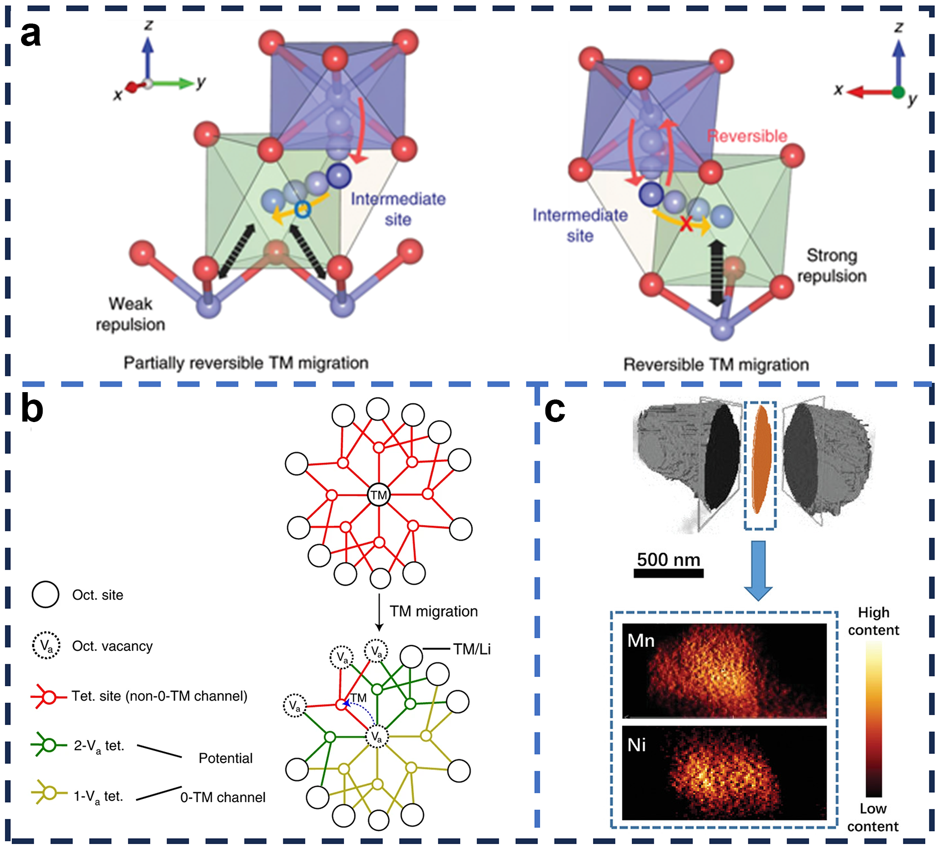 Molecules 29 01064 g008