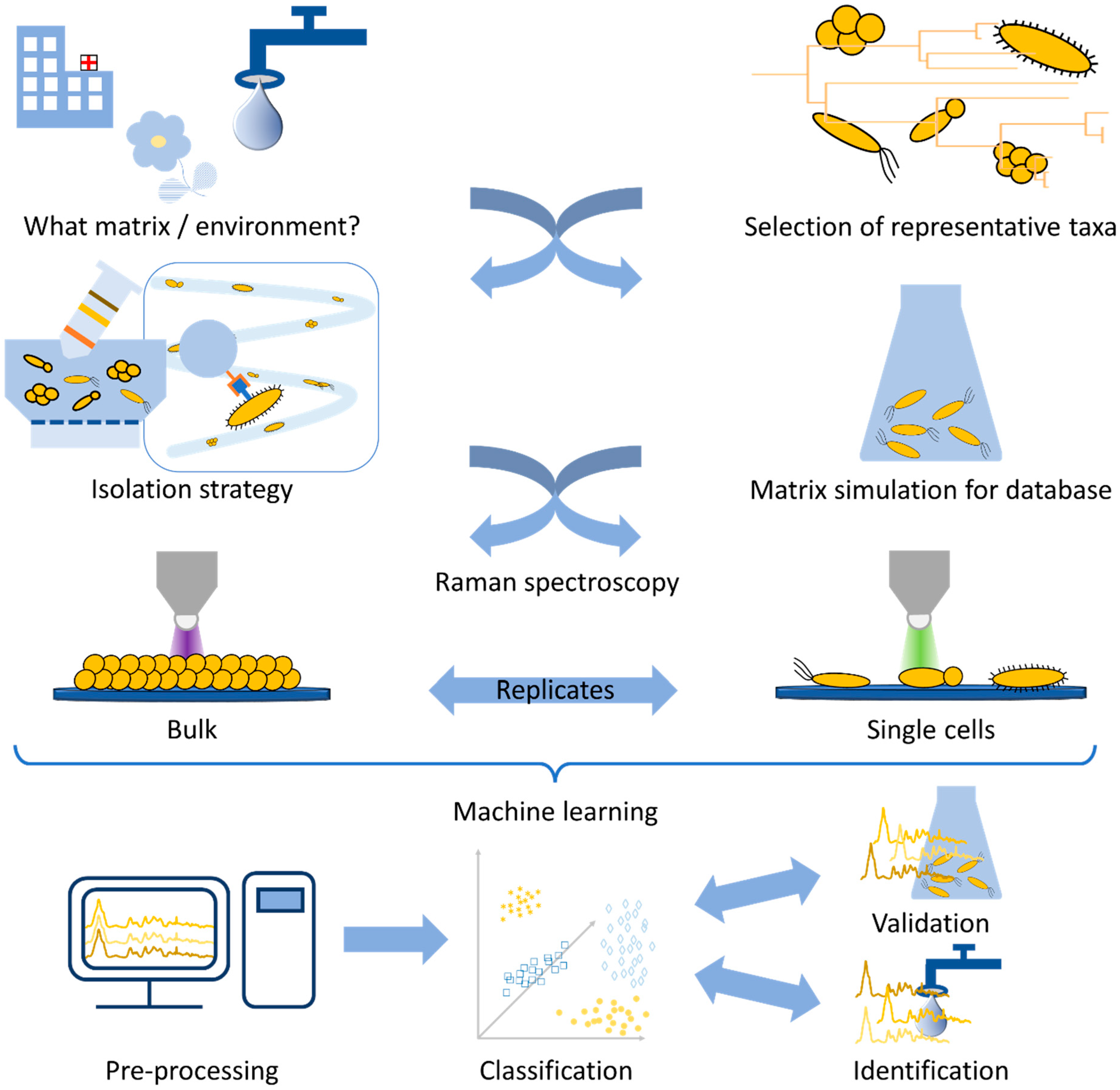 Molecules 29 01077 g001 Molecules 29 01077 g001