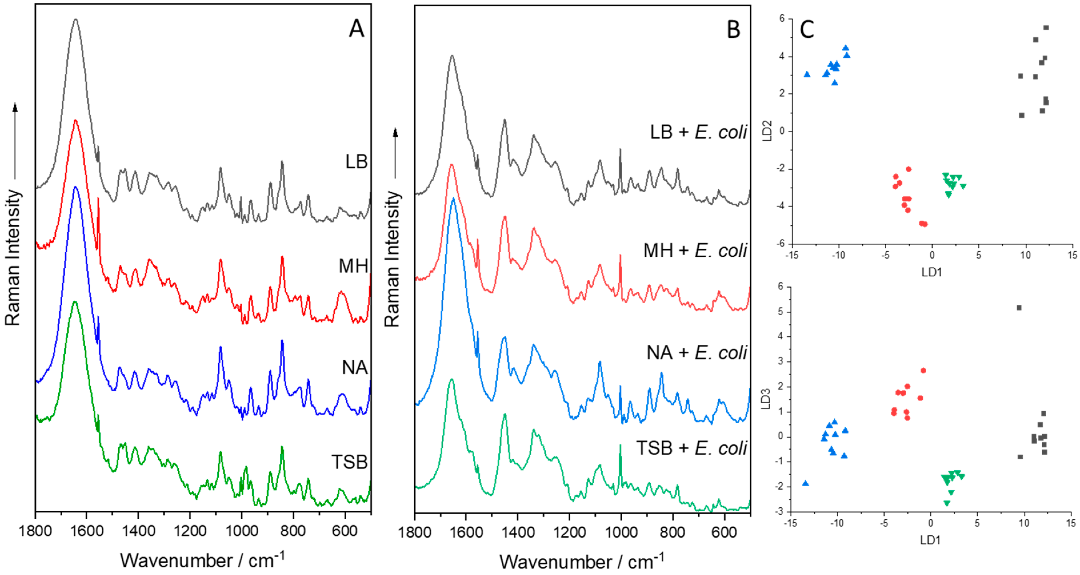 Molecules 29 01077 g005 Molecules 29 01077 g005