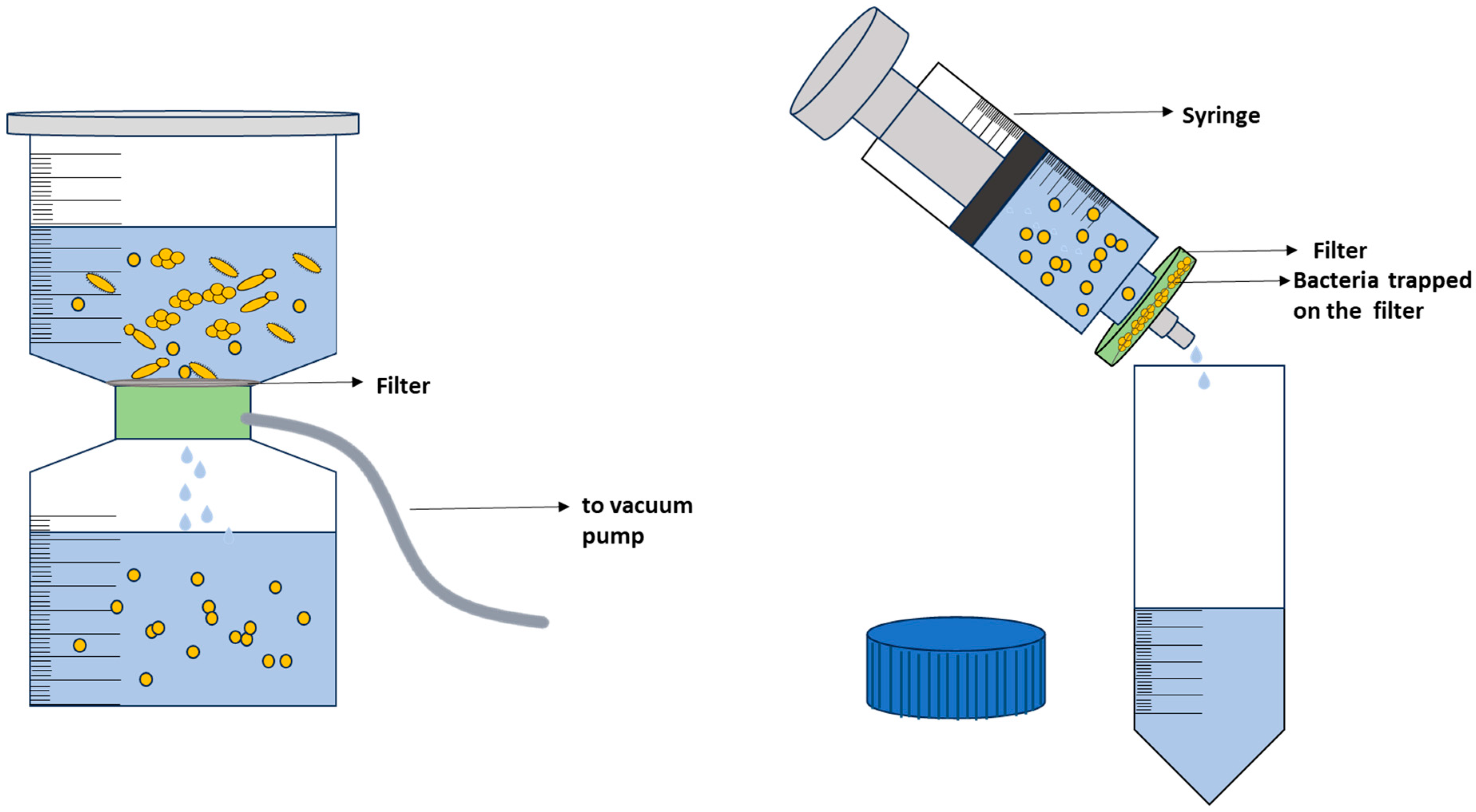 Molecules 29 01077 g007 Molecules 29 01077 g007