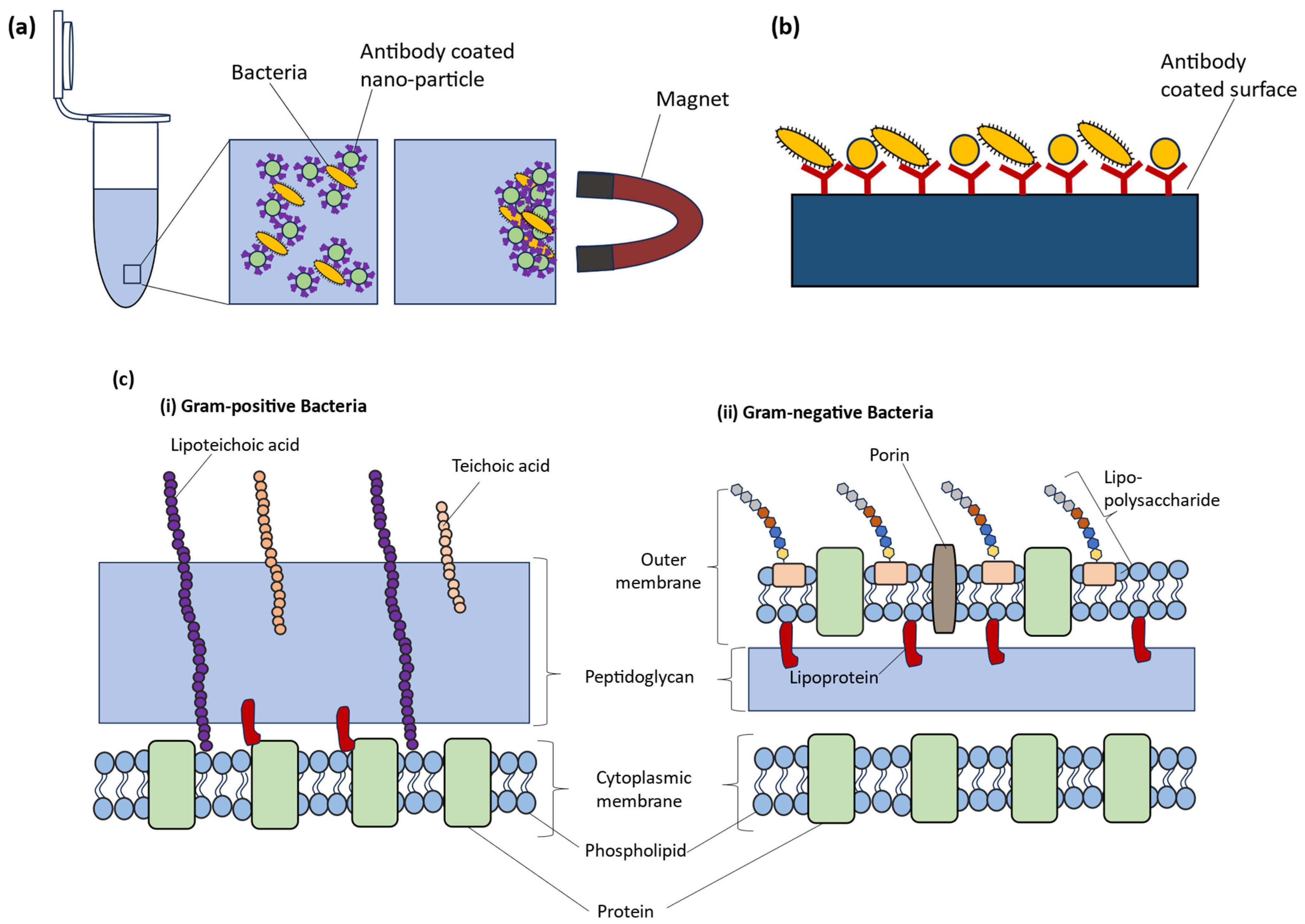 Molecules 29 01077 g010 Molecules 29 01077 g010