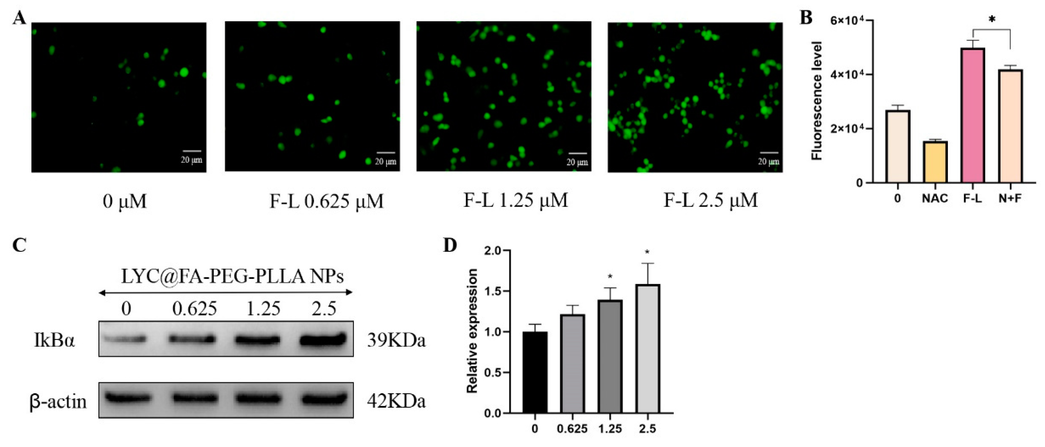 Molecules 29 01081 g013