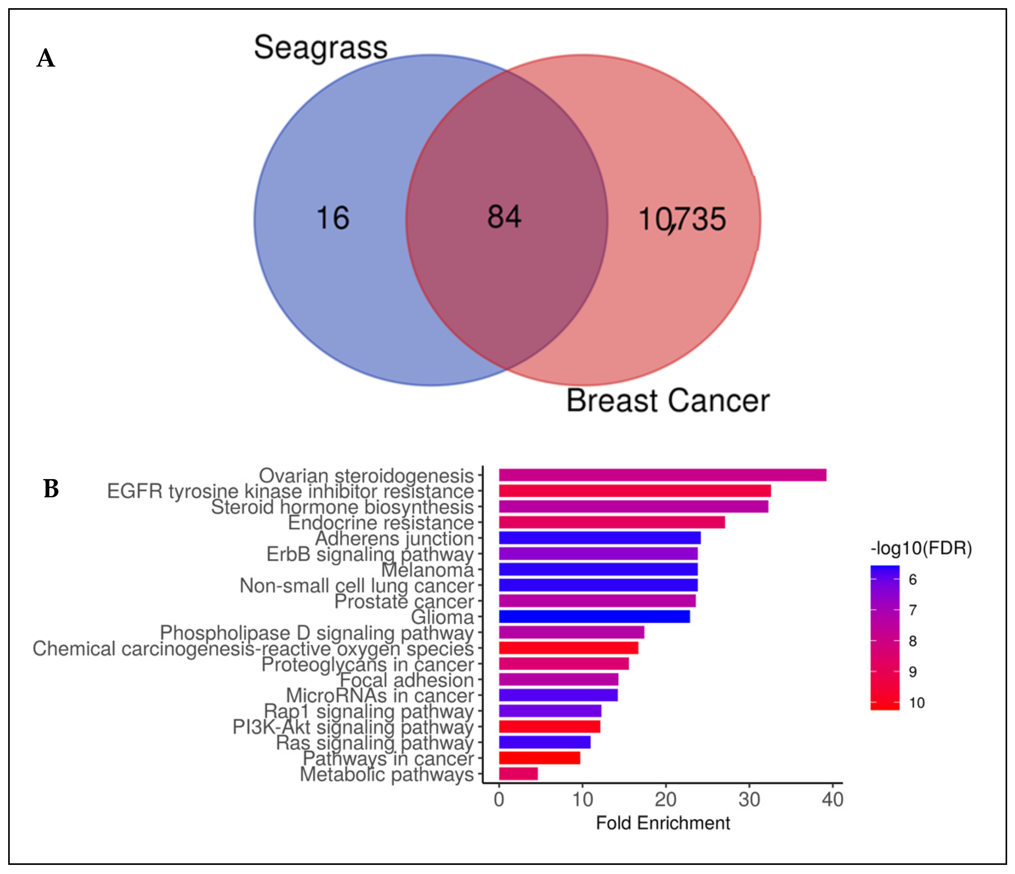 Molecules 29 01082 g001a