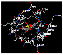 Molecules 29 01082 i012