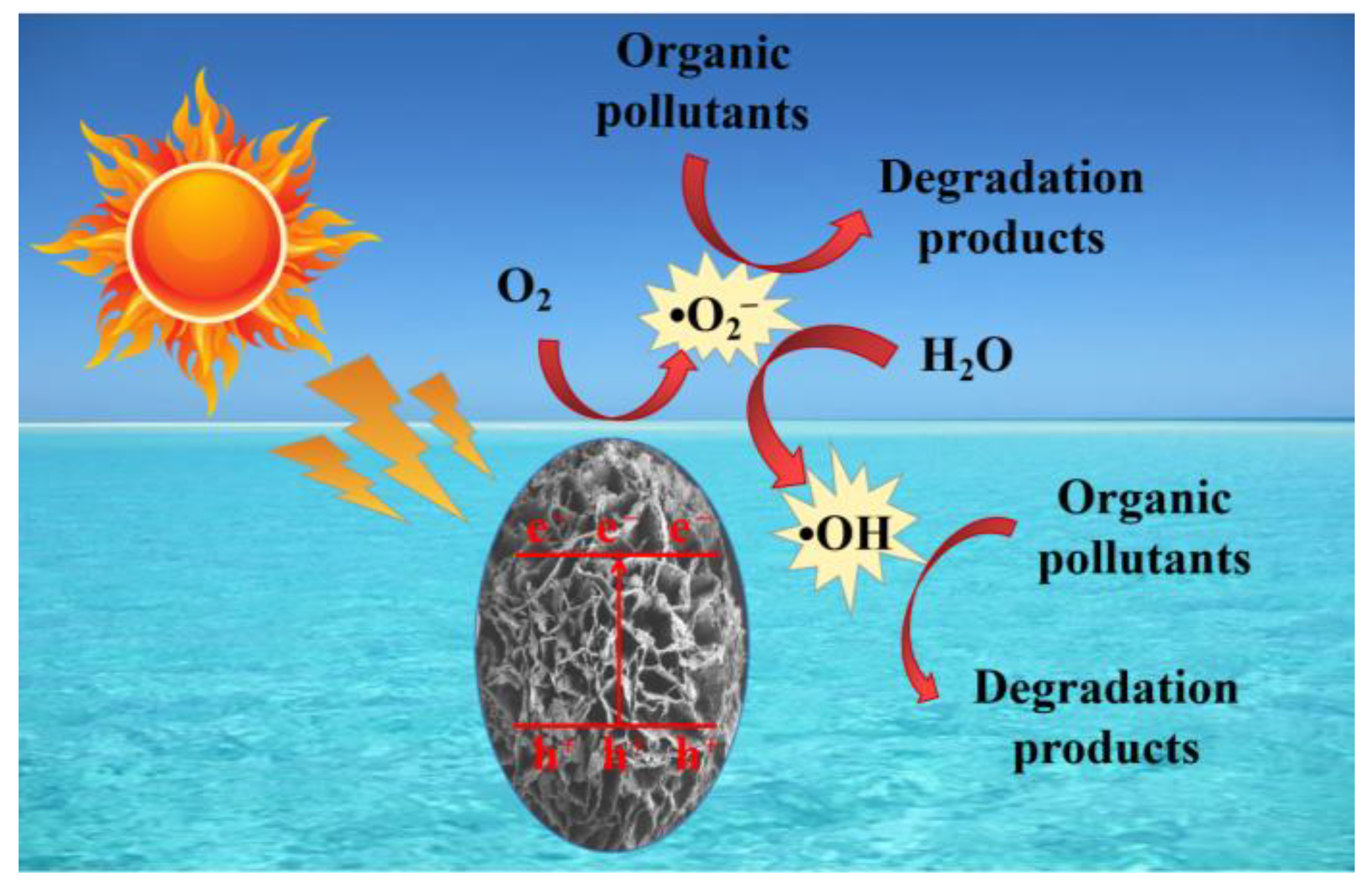 Molecules 29 01094 g009