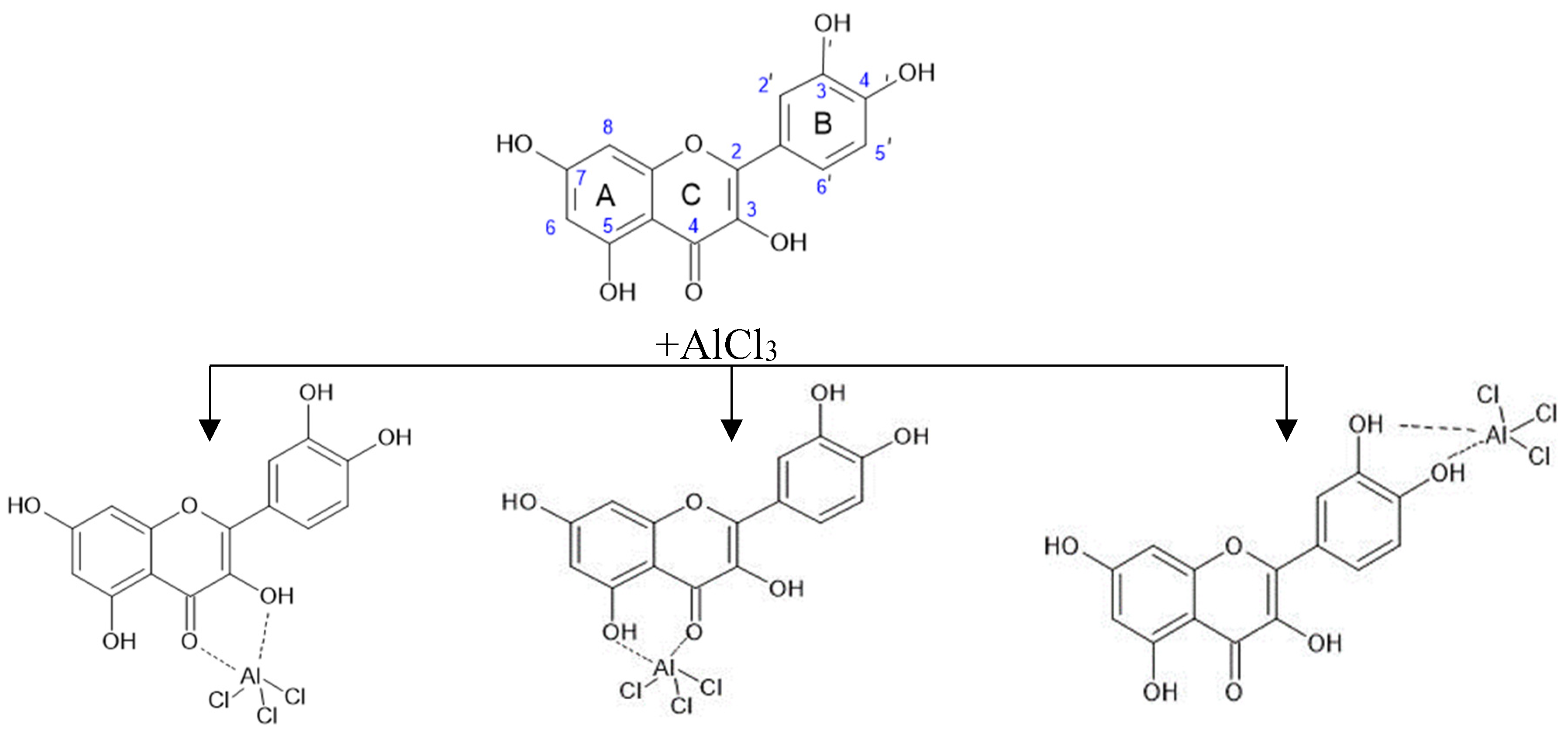 Molecules 29 01095 g008 Molecules 29 01095 g008