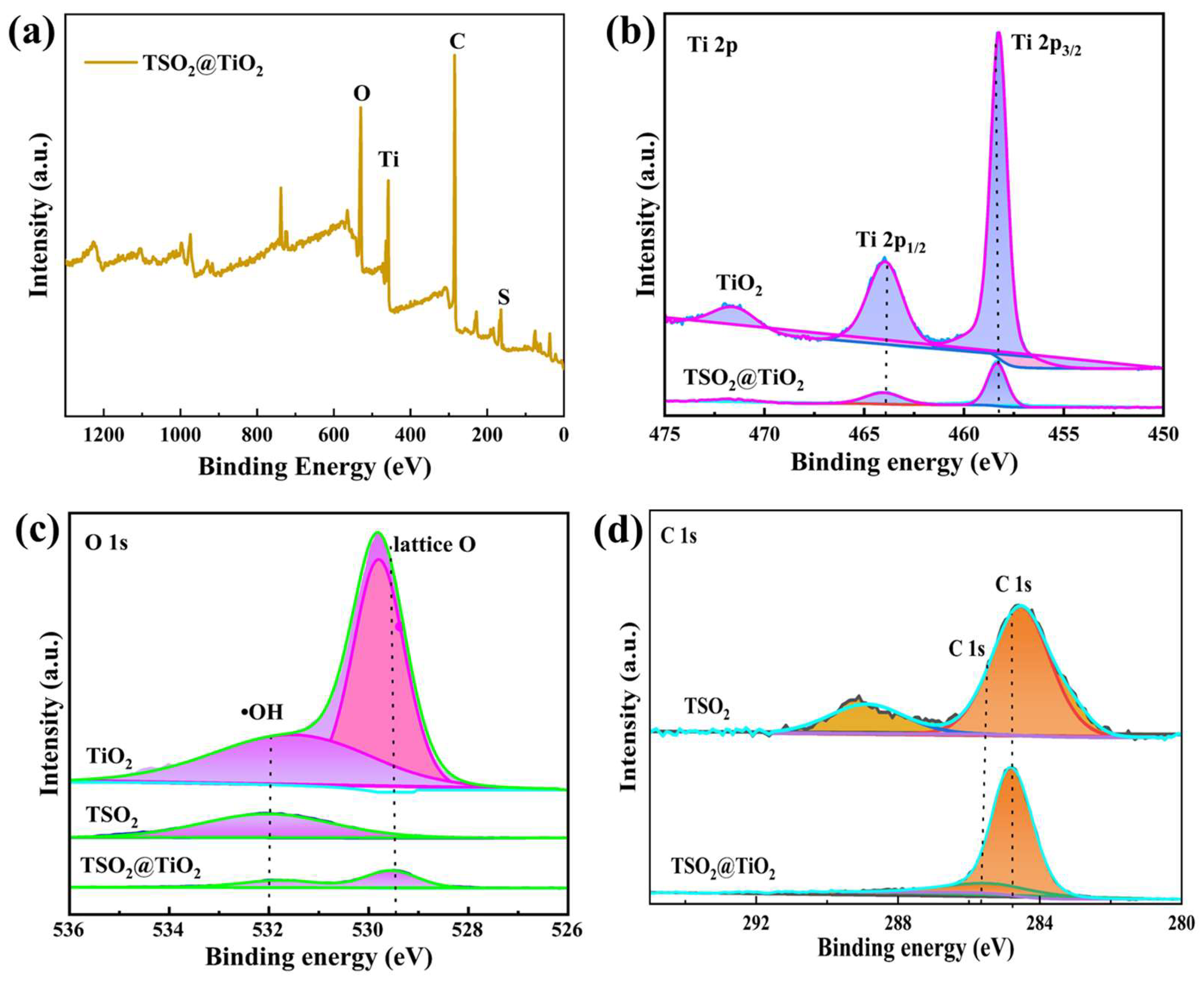 Molecules 29 01103 g002