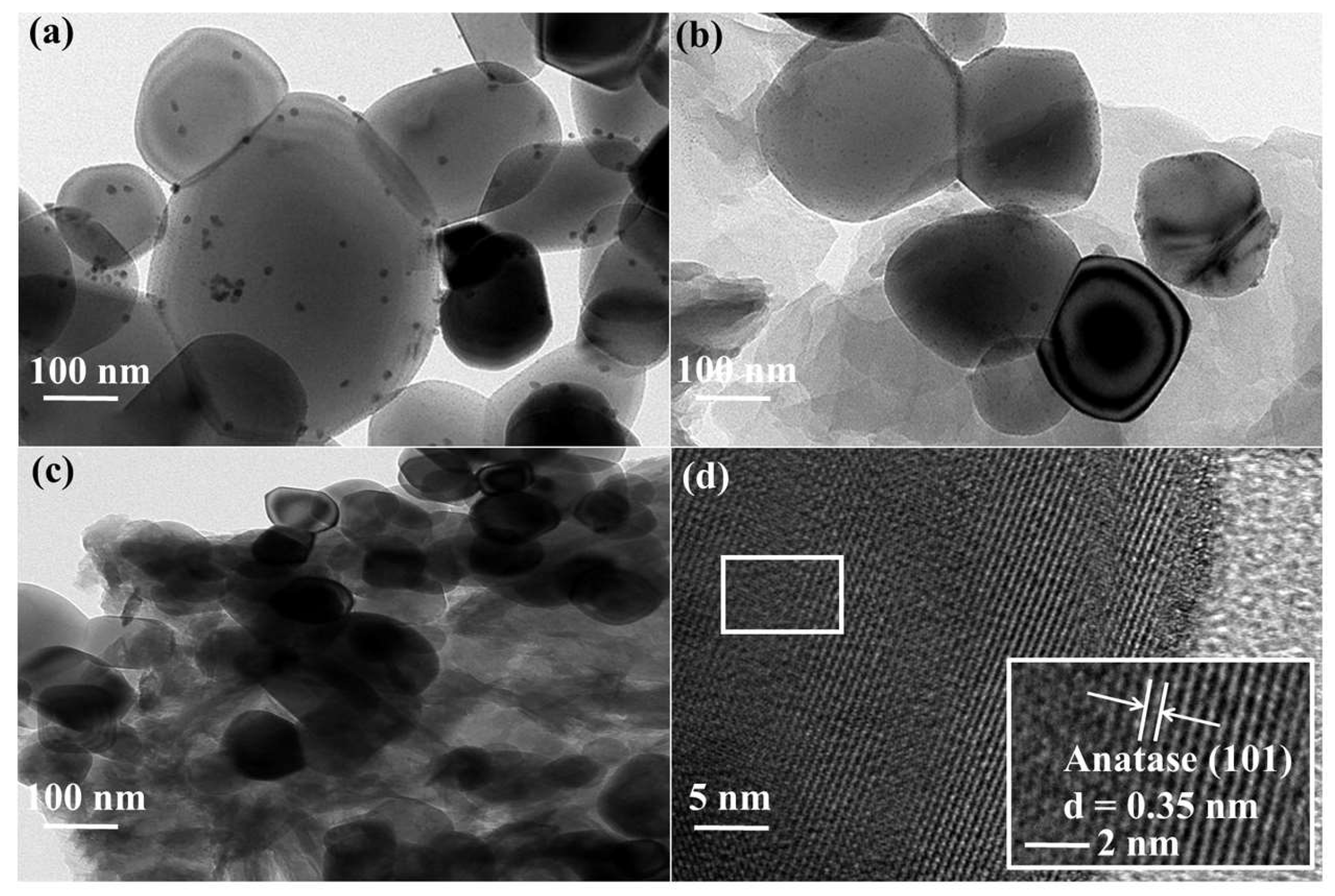 Molecules 29 01103 g003