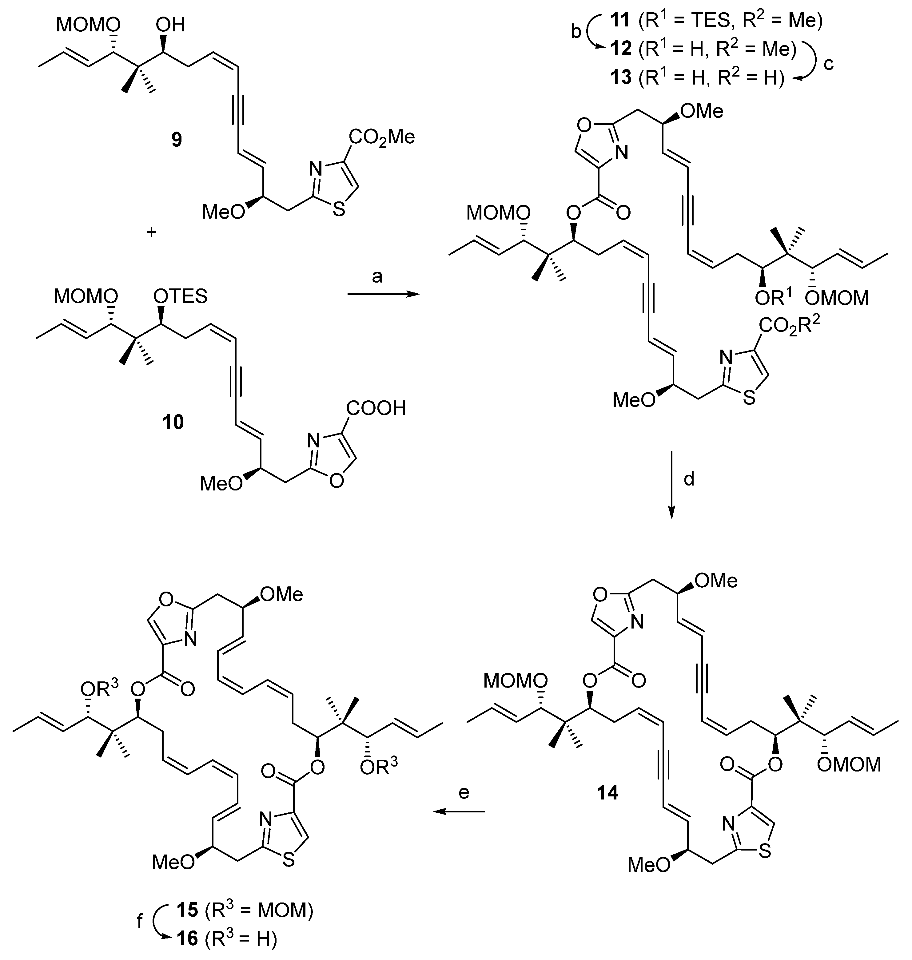 Molecules 29 01123 sch001