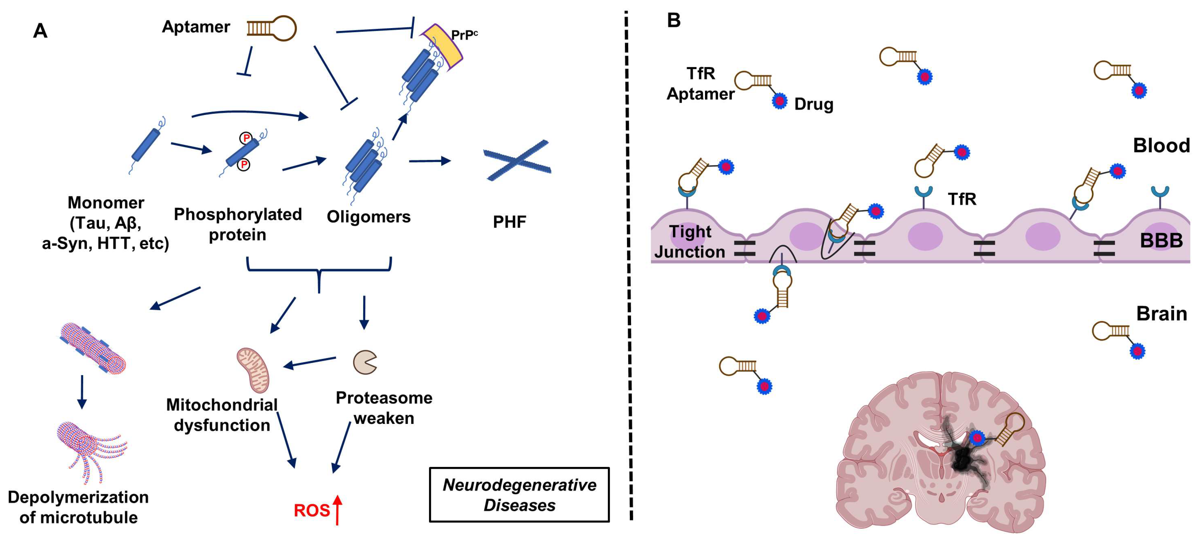 Molecules 29 01124 g001