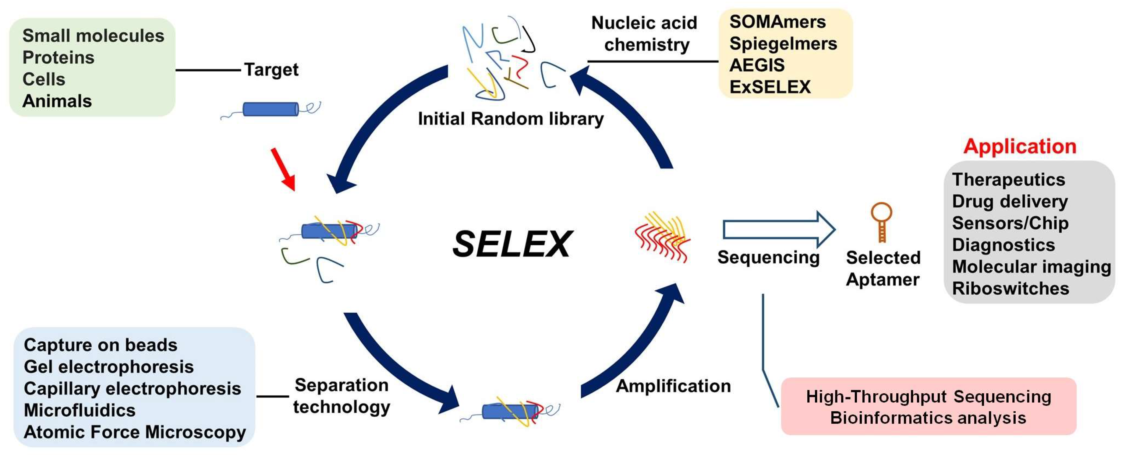 Molecules 29 01124 g002