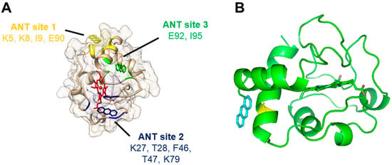 Molecules Free Full Text Cardiolipin Membranes Promote Cytochrome C Transformation Of 2561