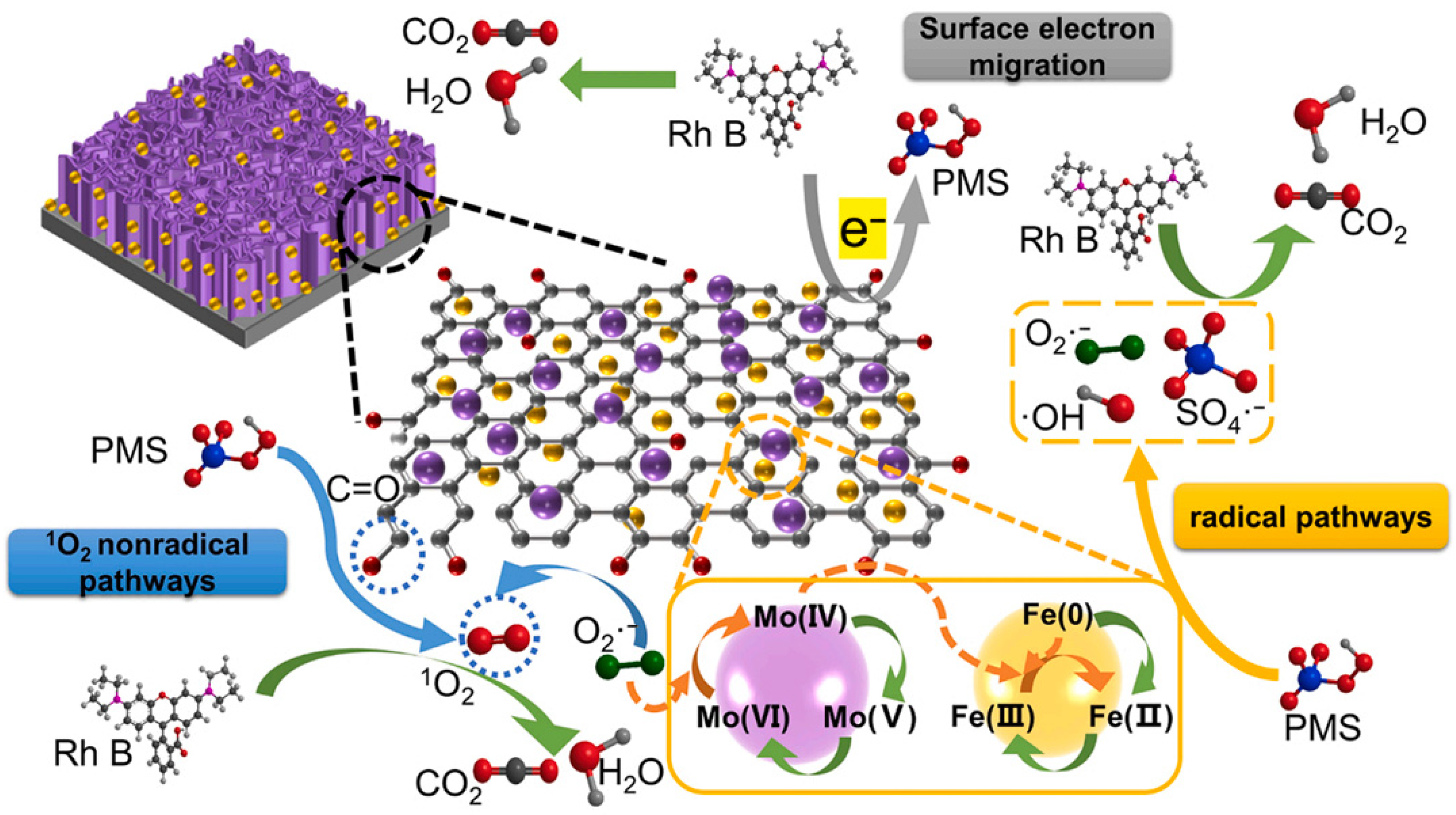 Molecules 29 01130 g002