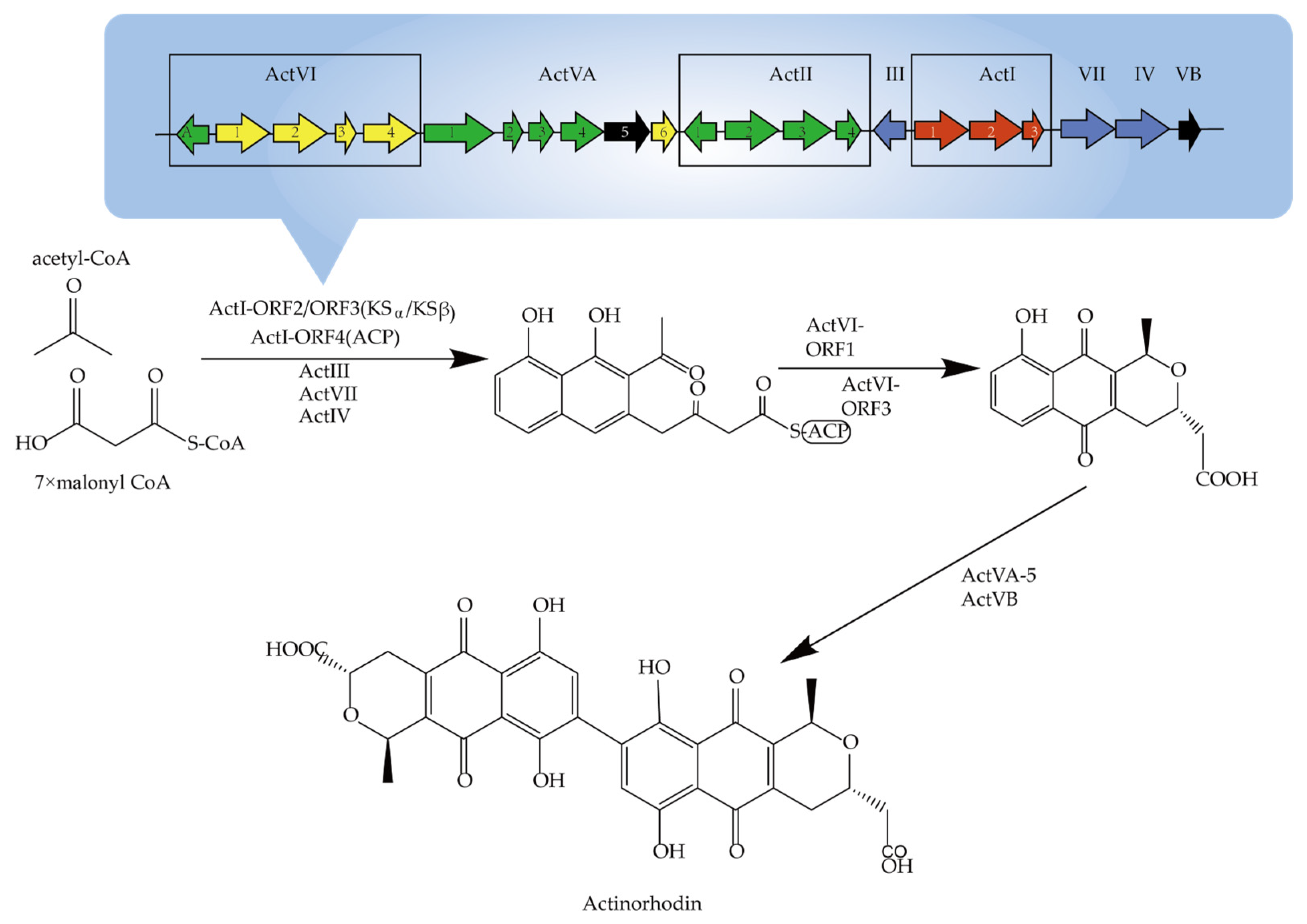 Molecules 29 01132 g002