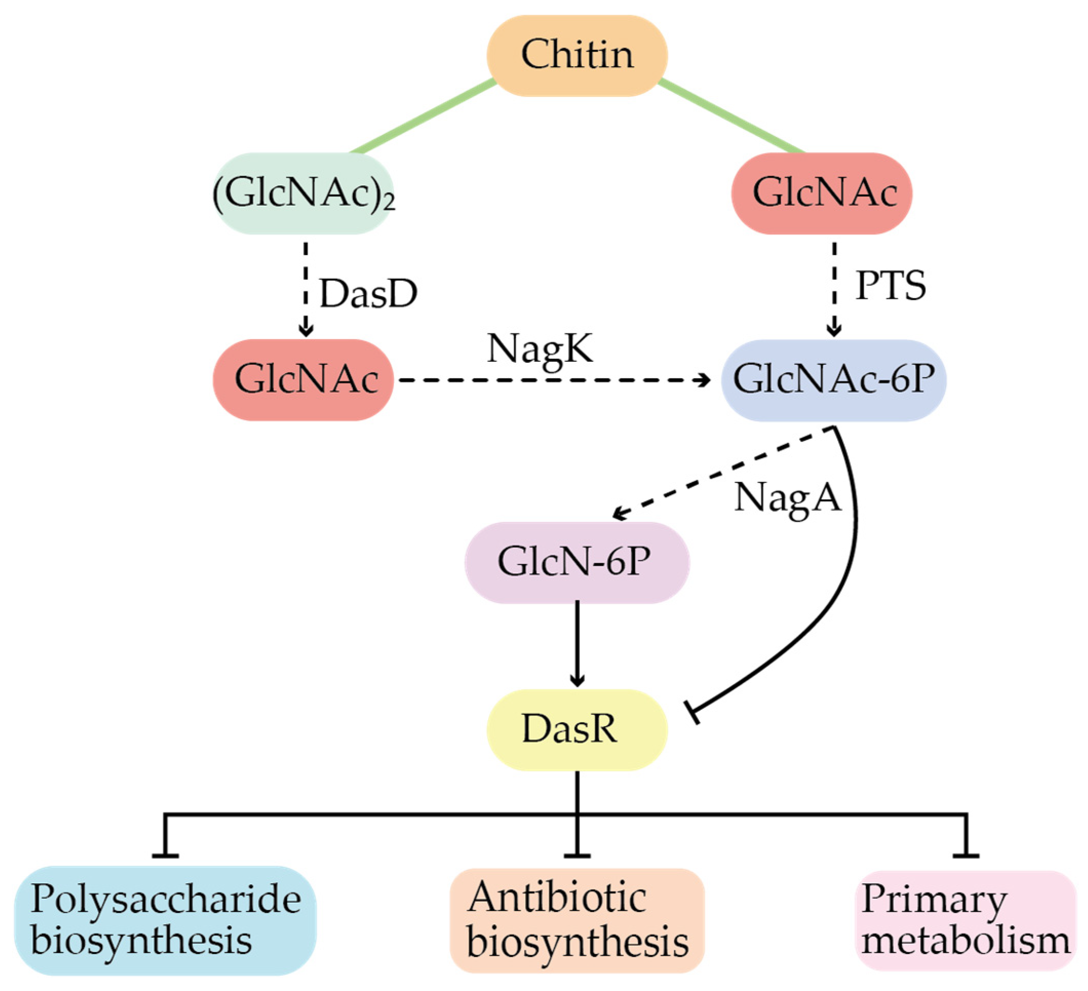 Molecules 29 01132 g004