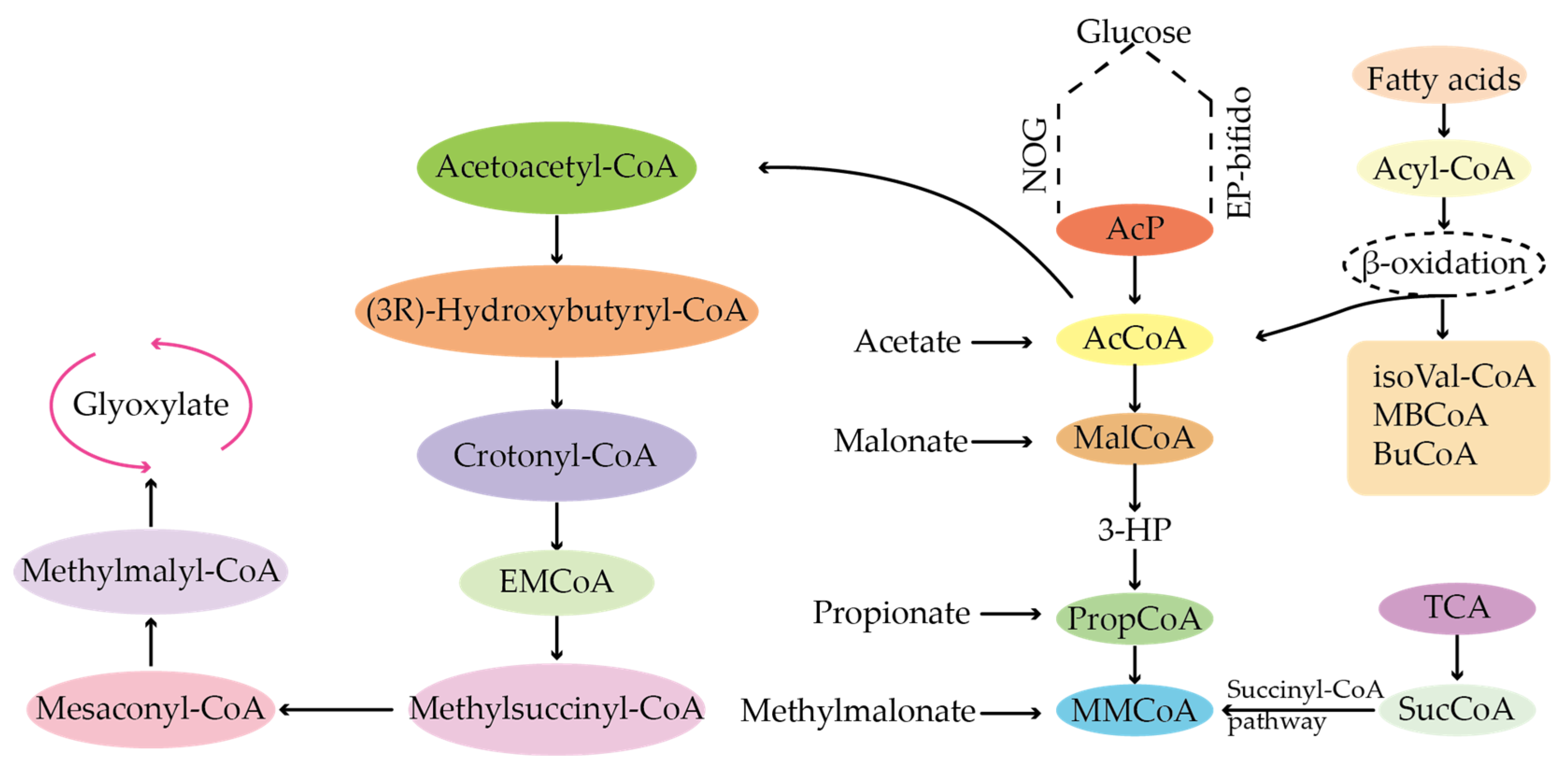 Molecules 29 01132 g007