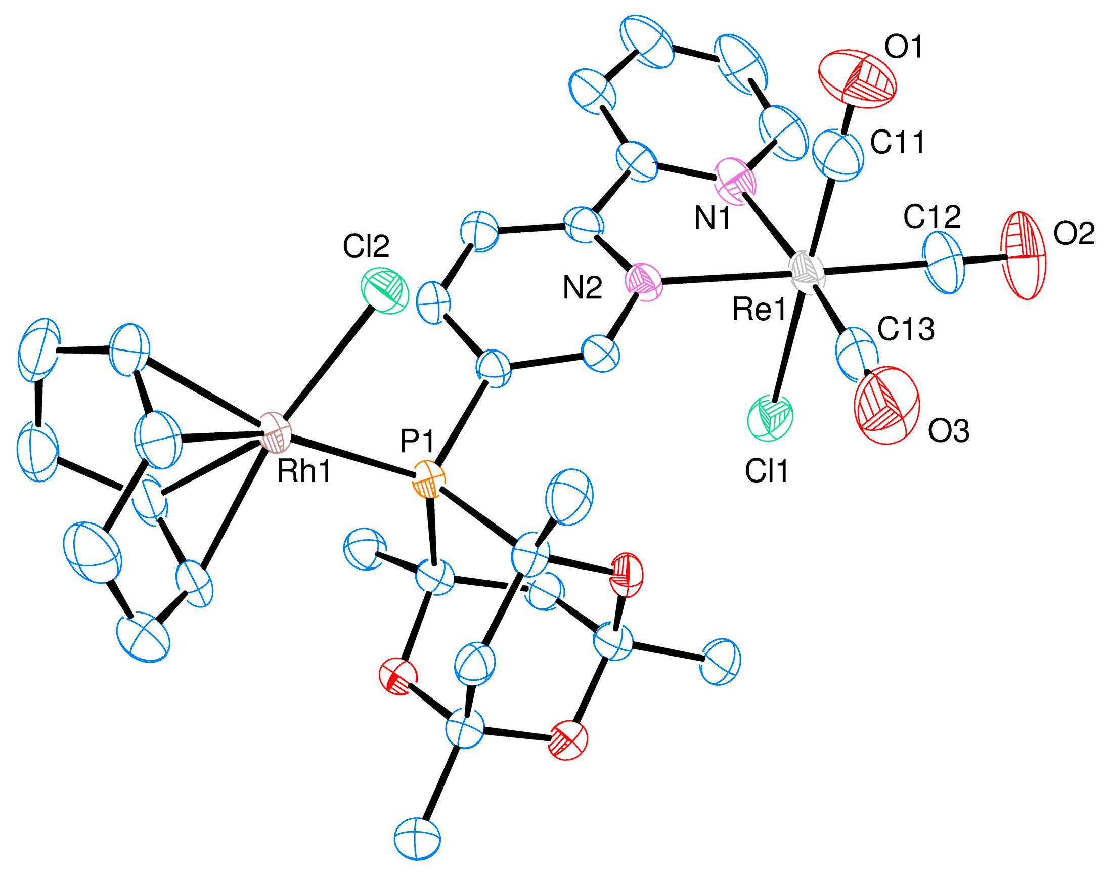 Molecules 29 01150 g004