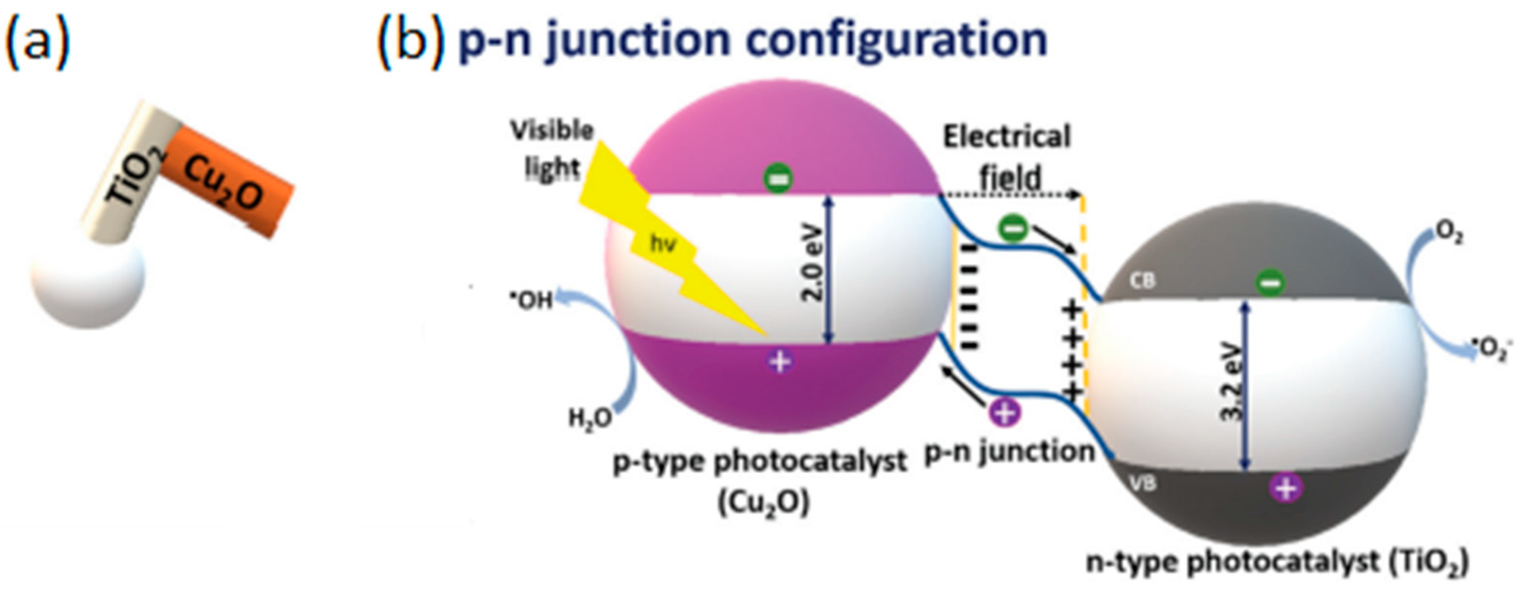 Molecules 29 01154 g002