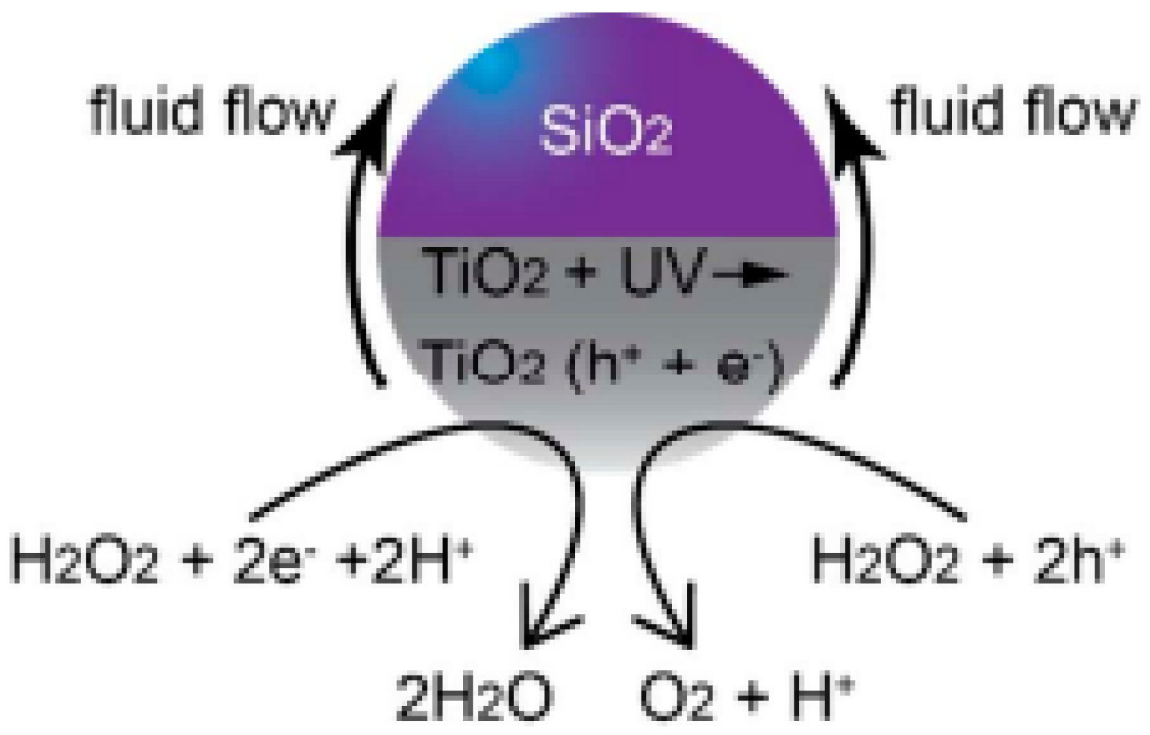 Molecules 29 01154 g005