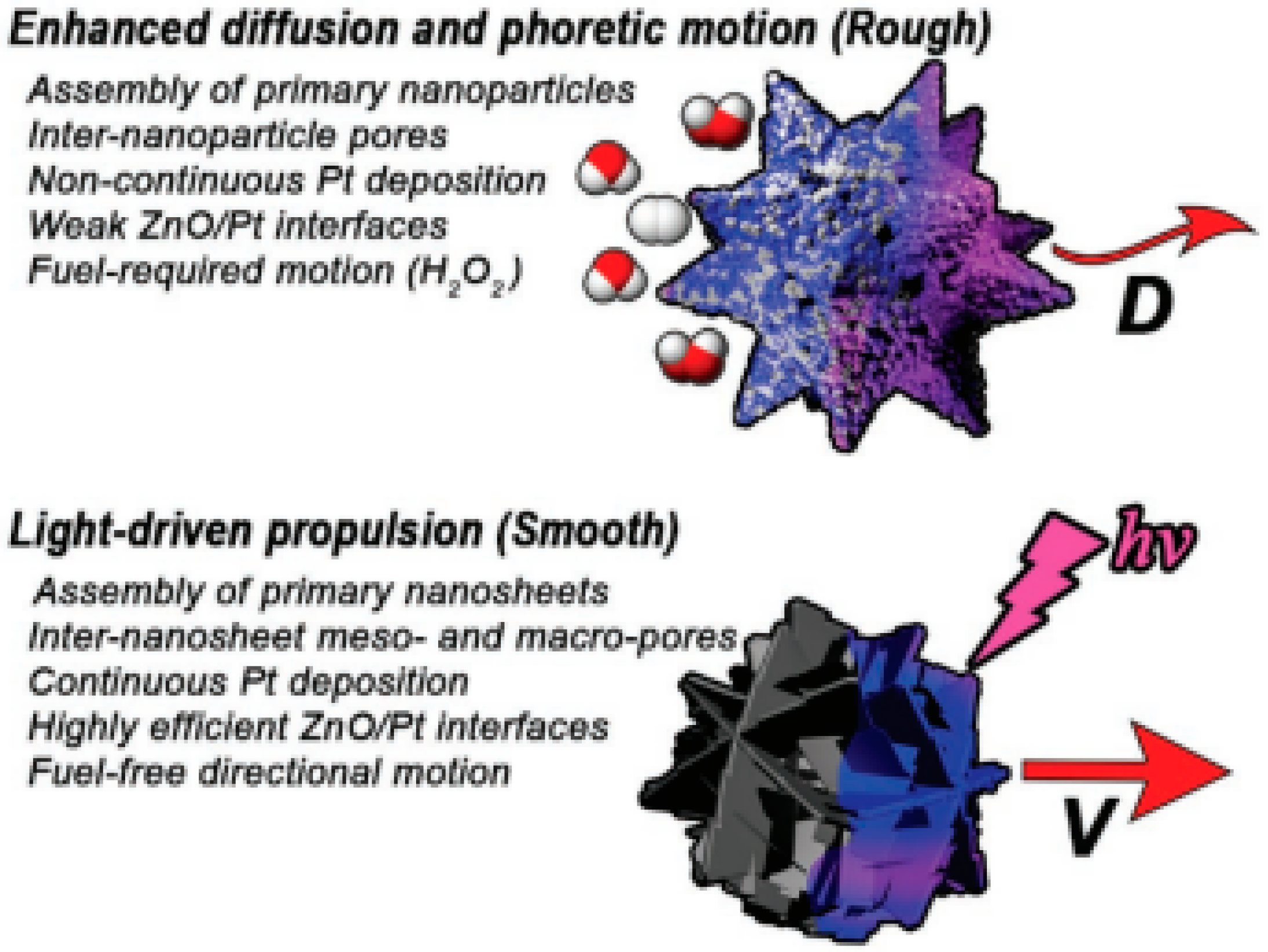 Molecules 29 01154 g007