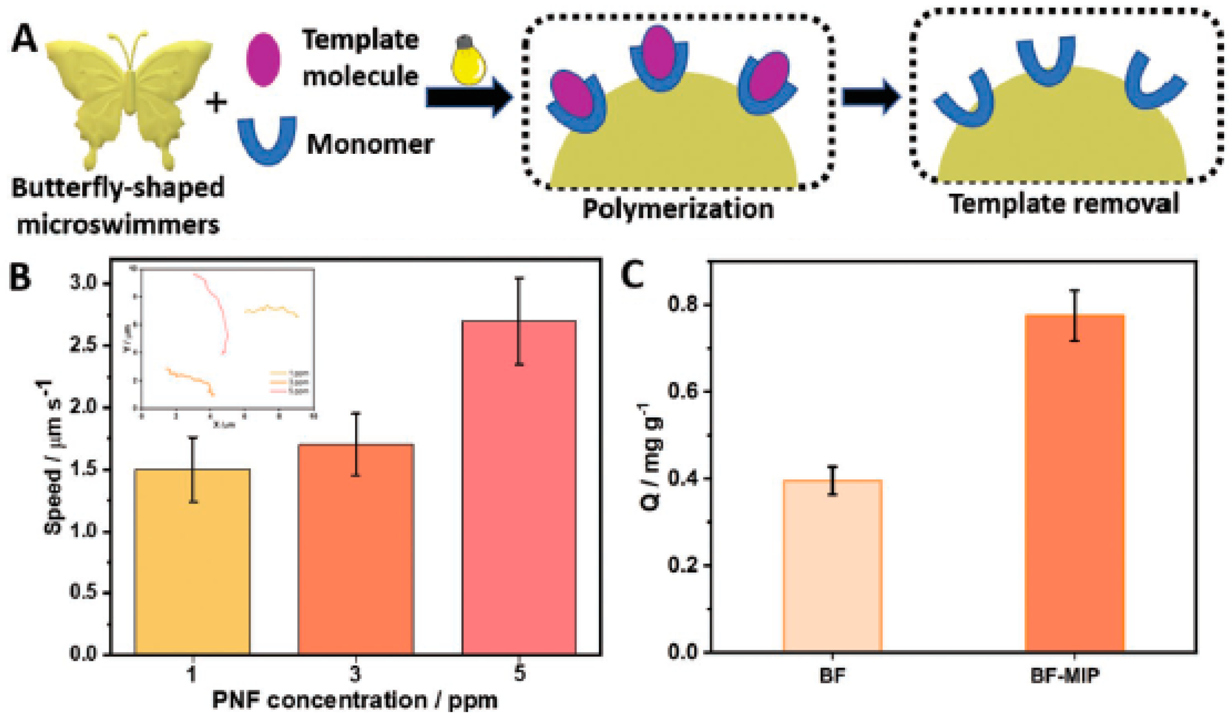 Molecules 29 01154 g008