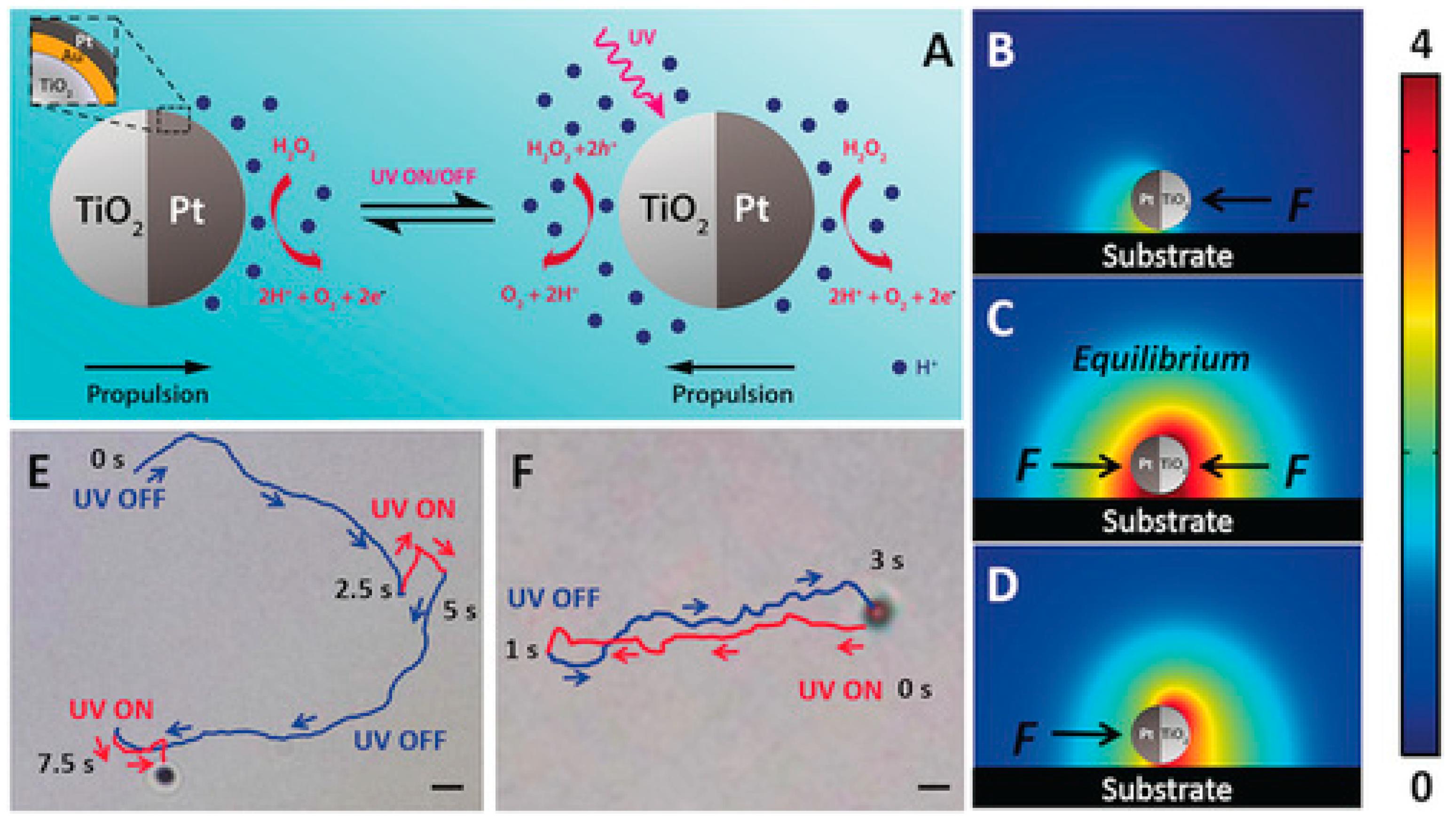 Molecules 29 01154 g009