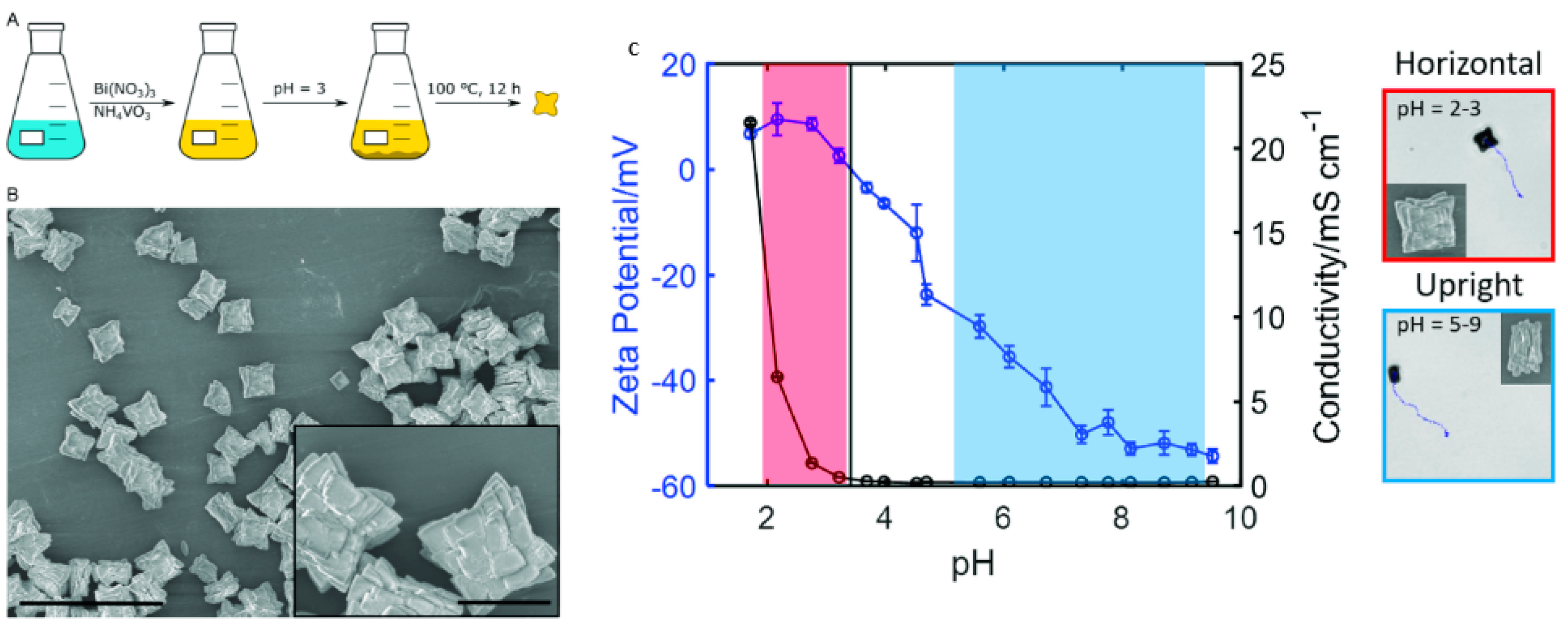 Molecules 29 01154 g012