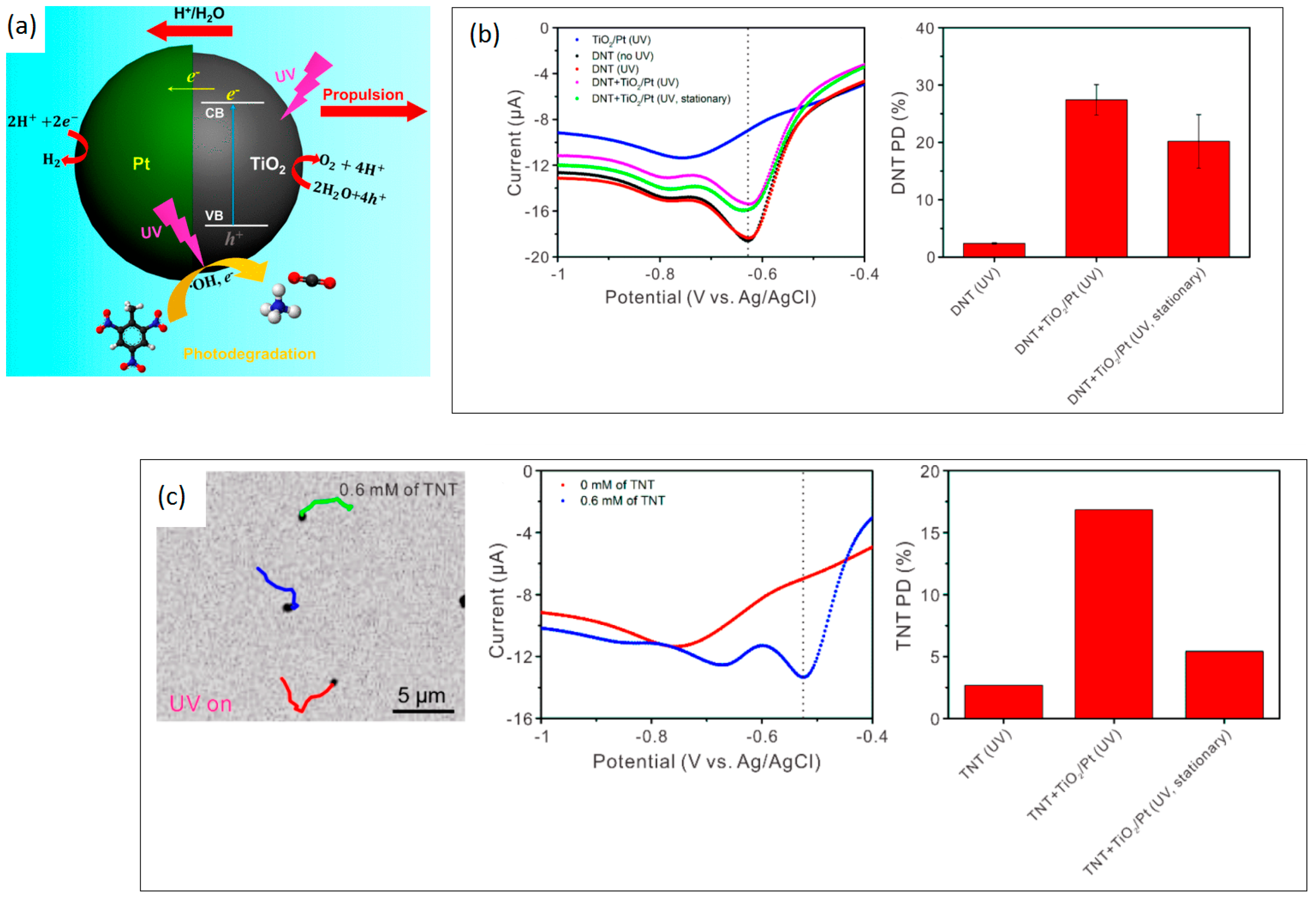 Molecules 29 01154 g016