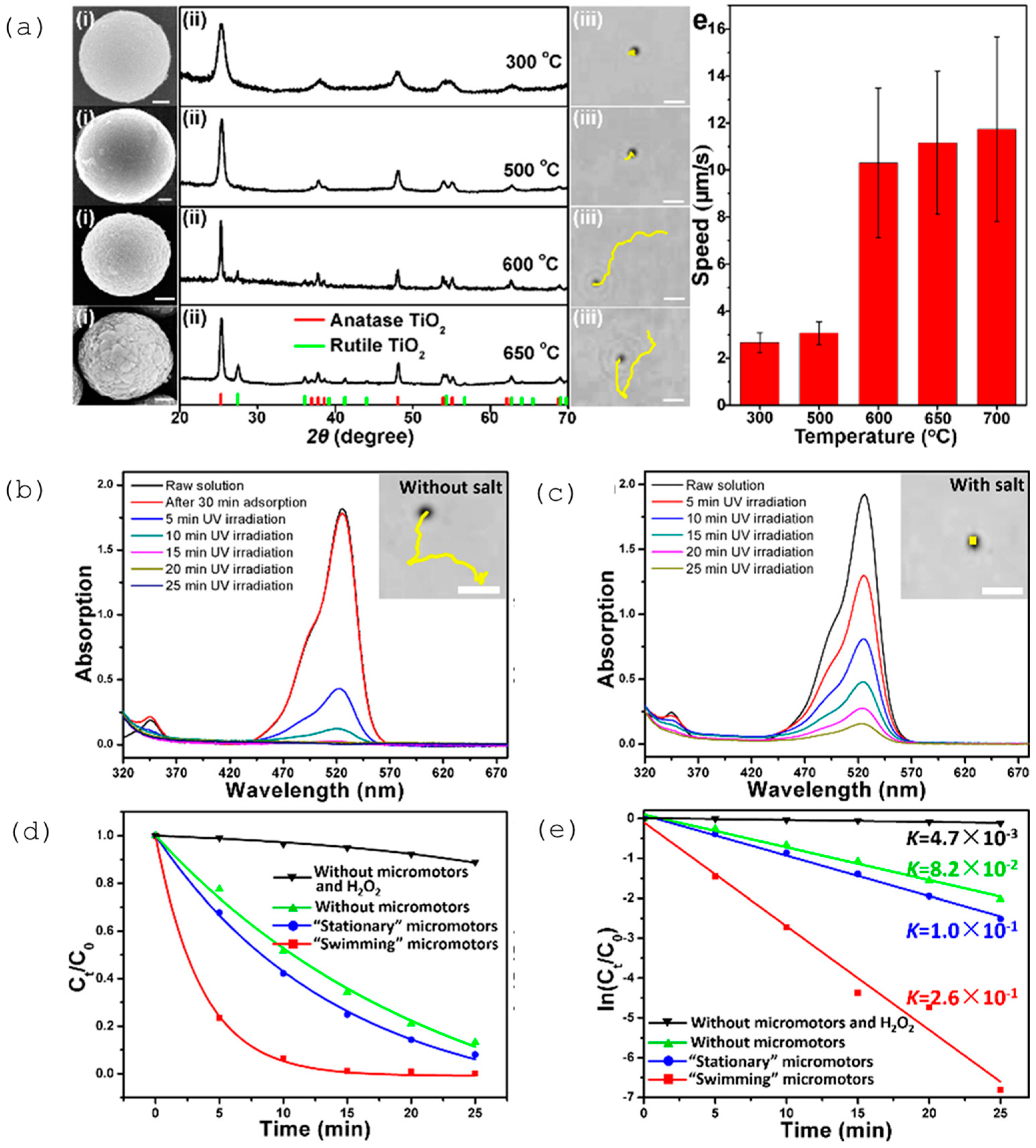 Molecules 29 01154 g017