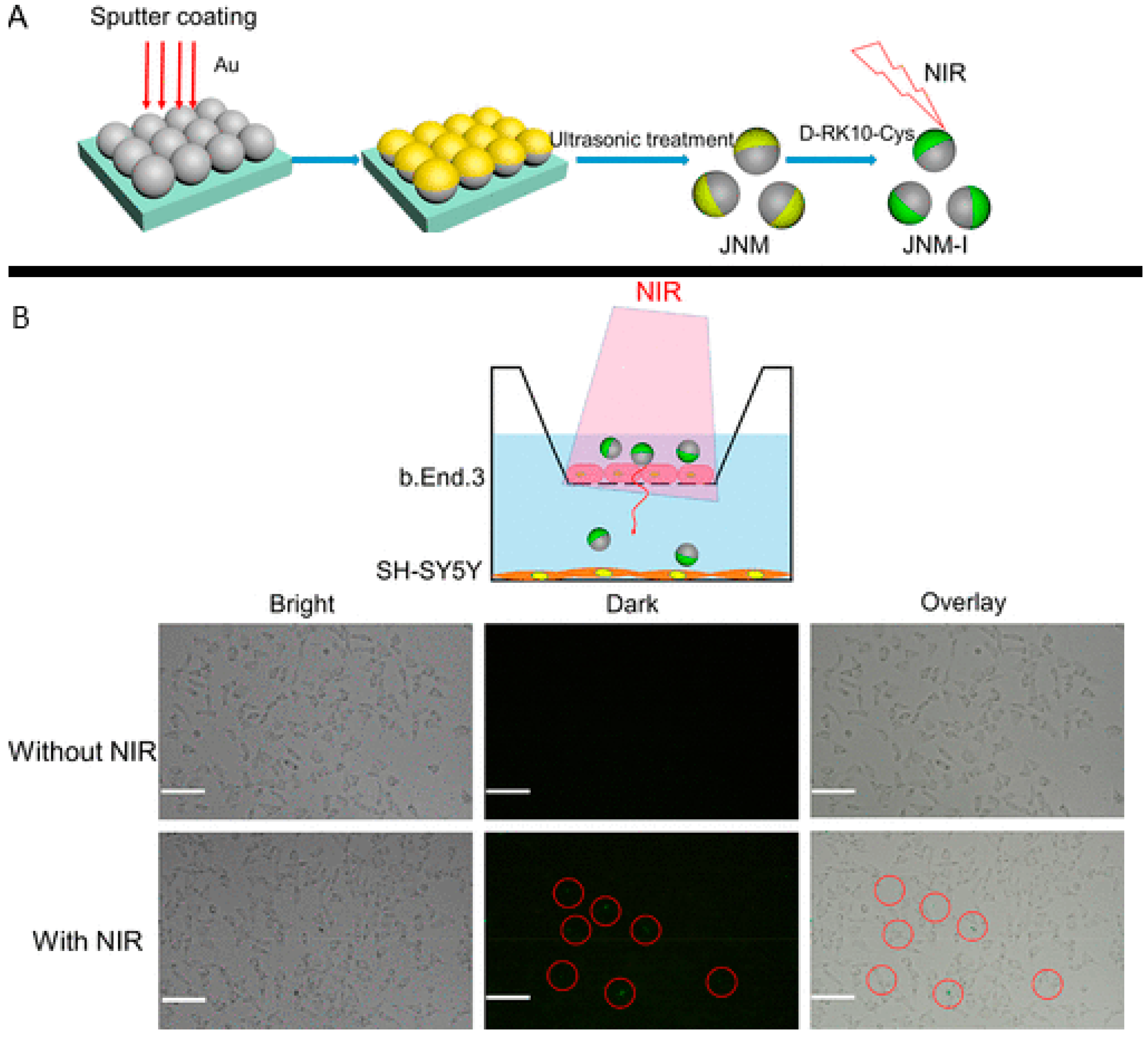 Molecules 29 01154 g020