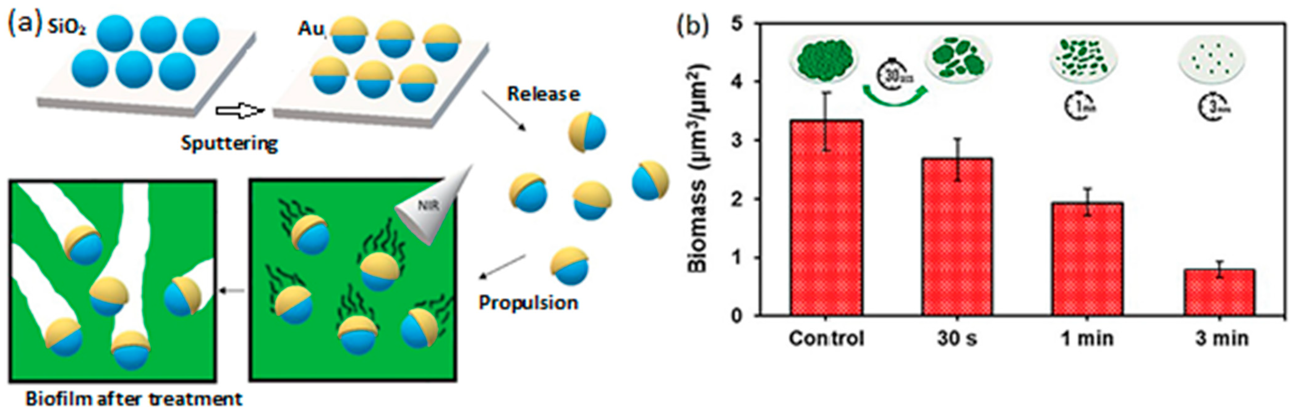 Molecules 29 01154 g021