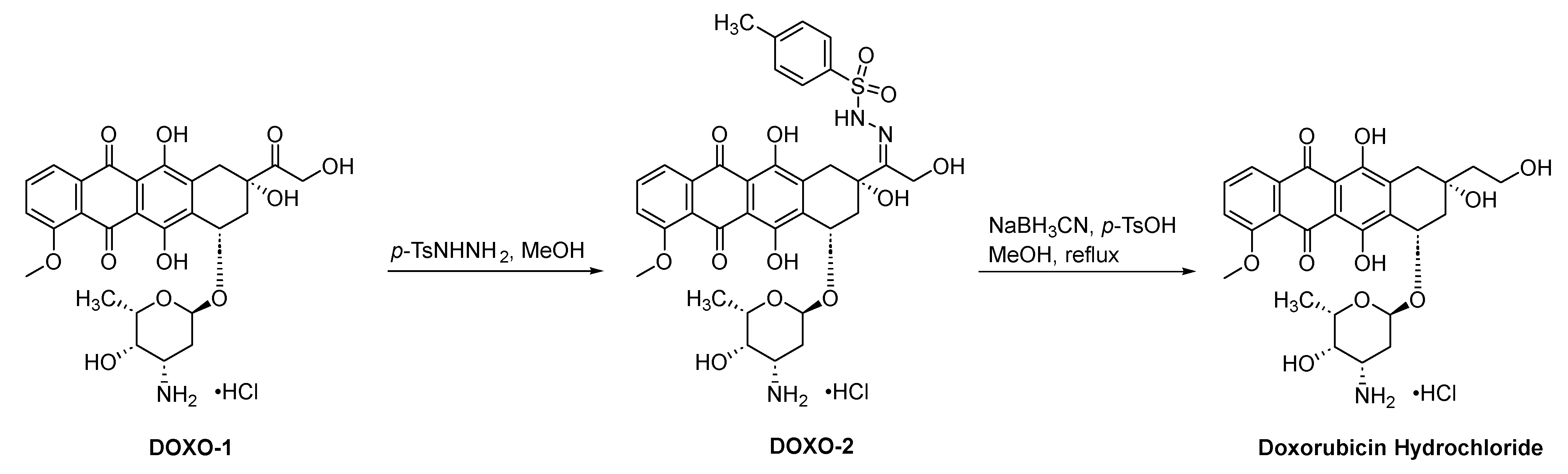 Molecules 29 01166 sch004