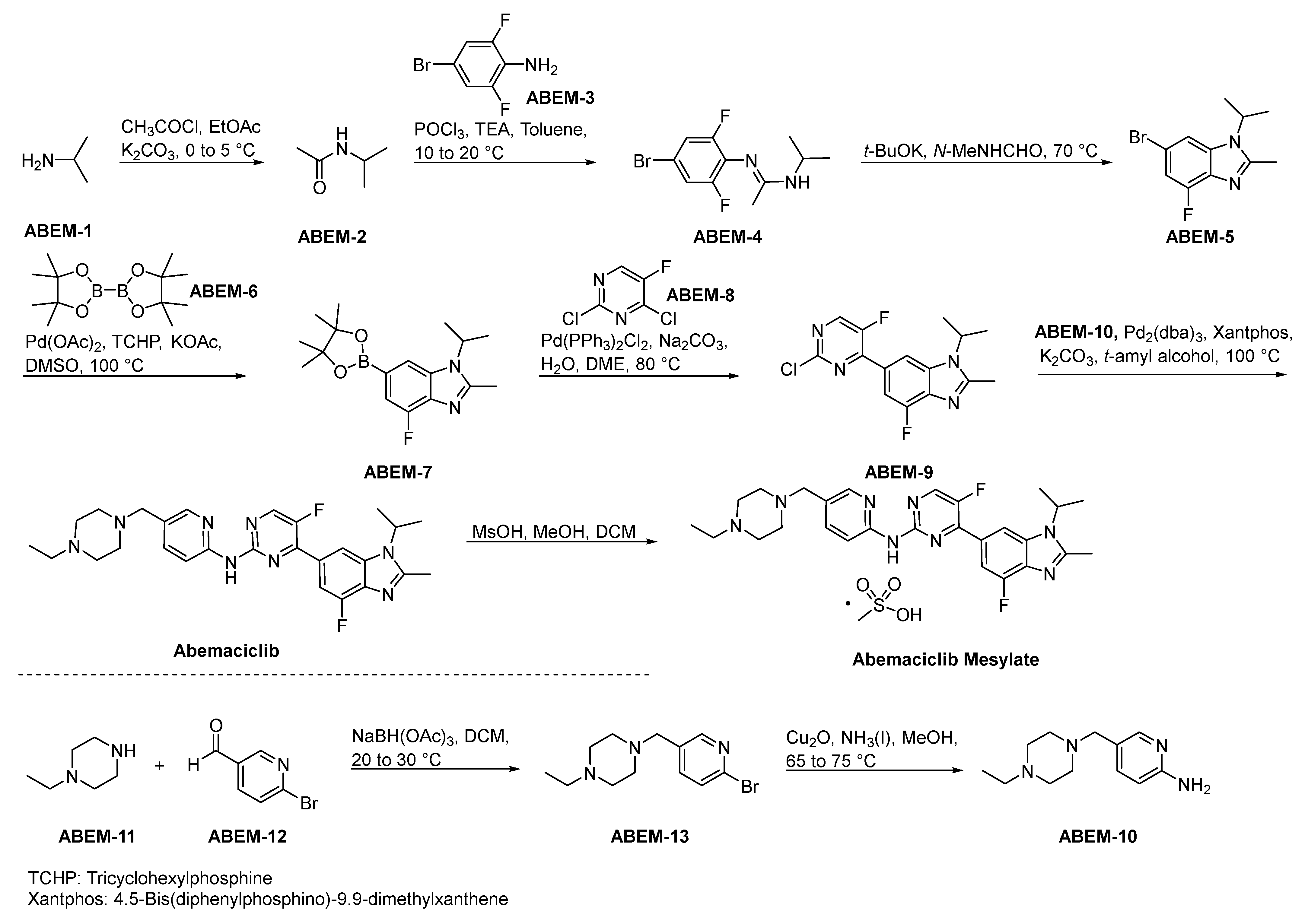 Molecules 29 01166 sch022