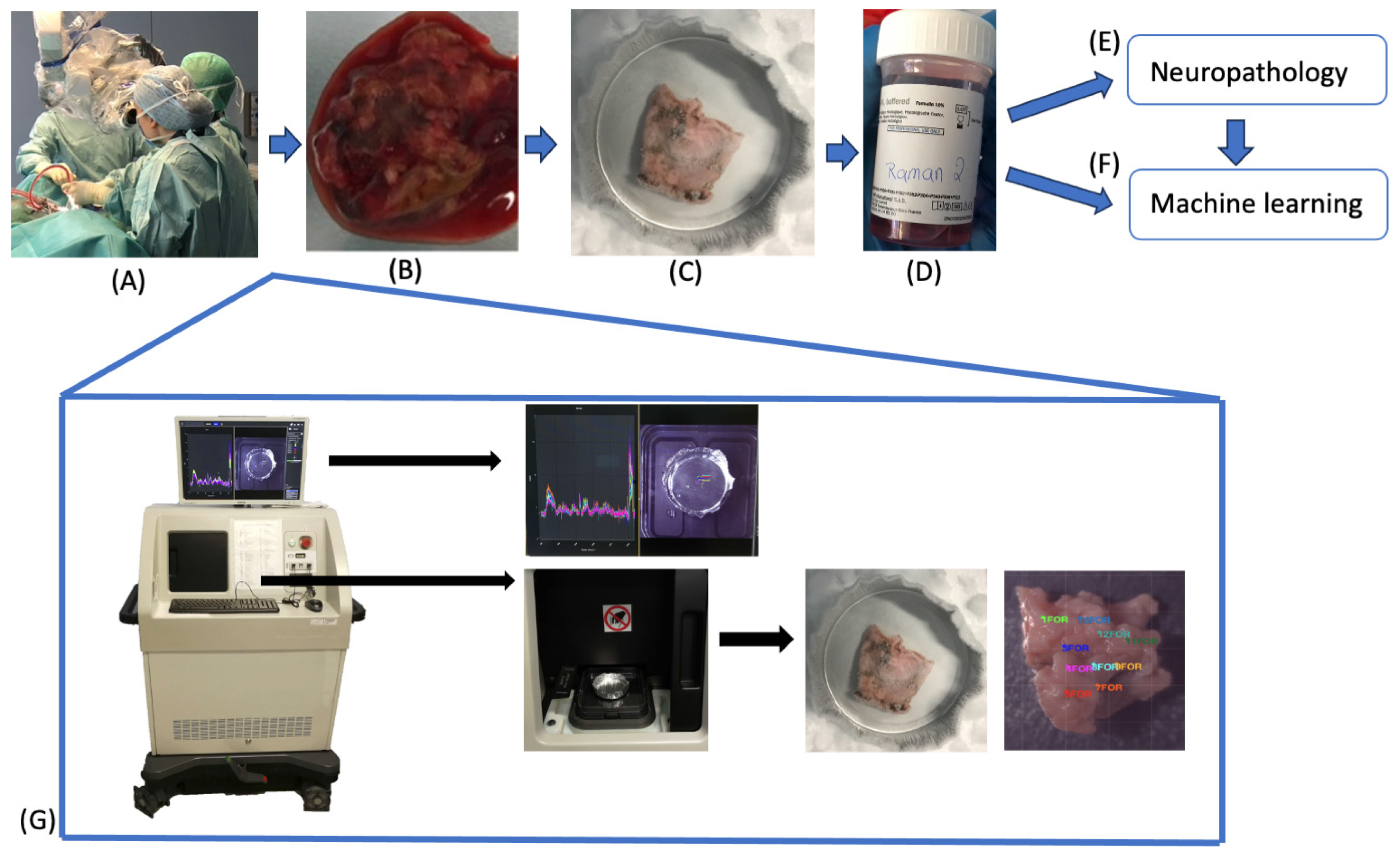 Molecules 29 01167 g006