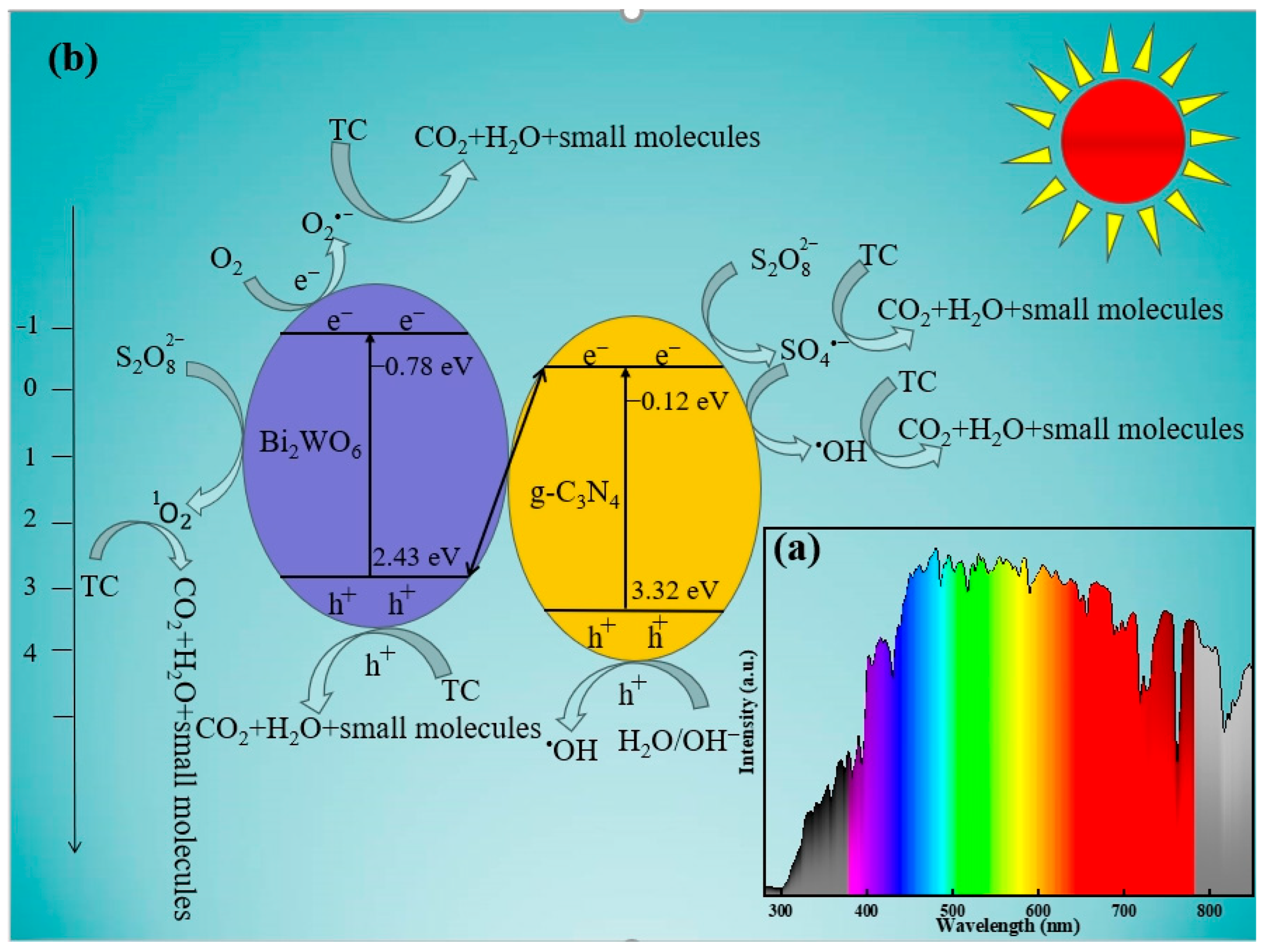 Molecules 29 01169 g009