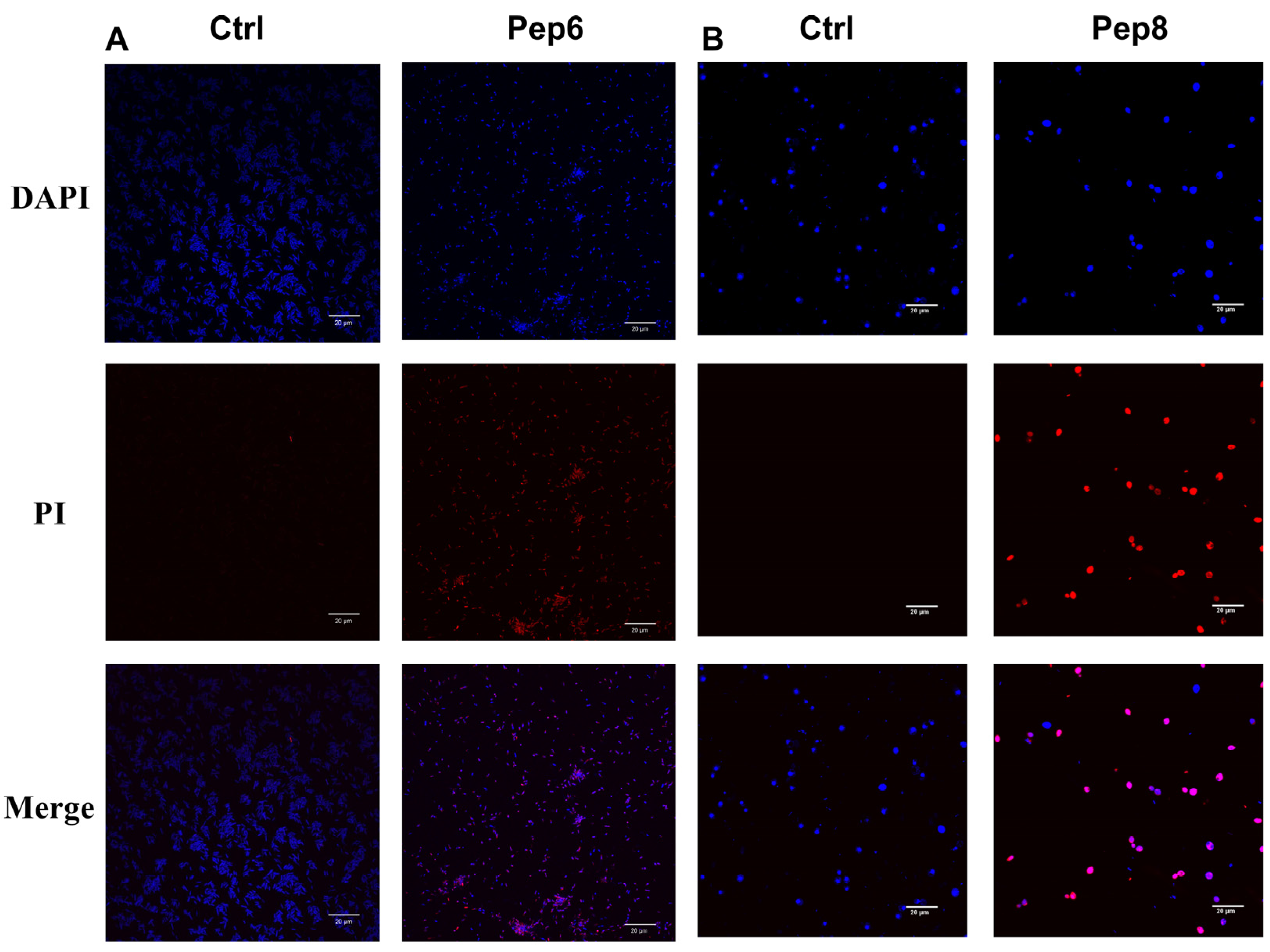 Molecules 29 01181 g006
