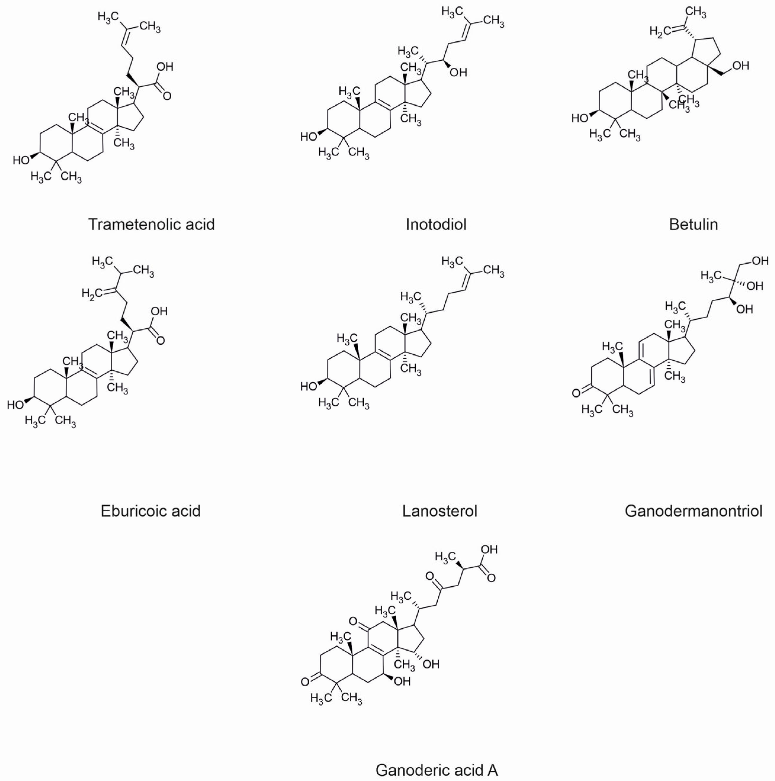 Molecules 29 01183 g001