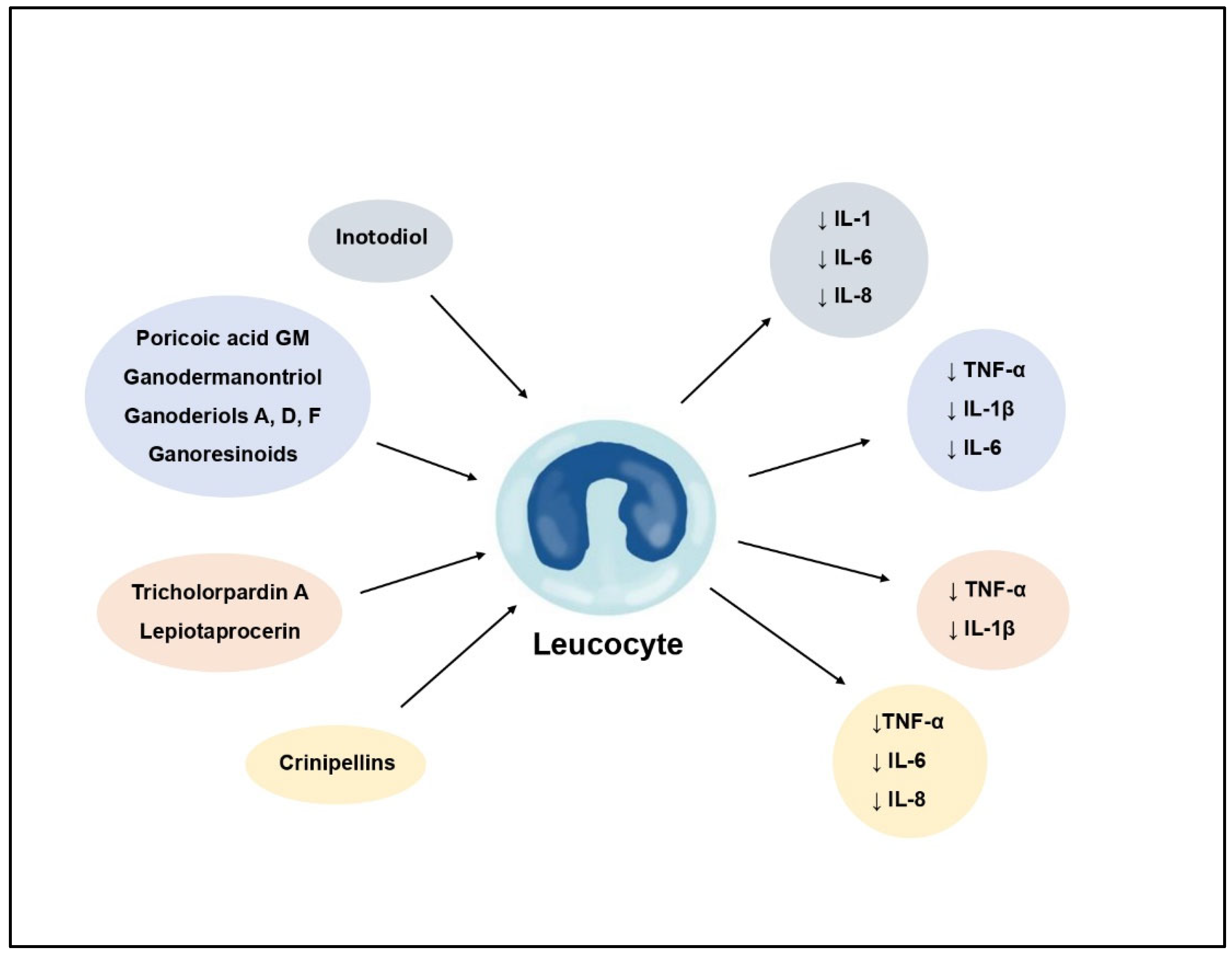 Molecules 29 01183 g002