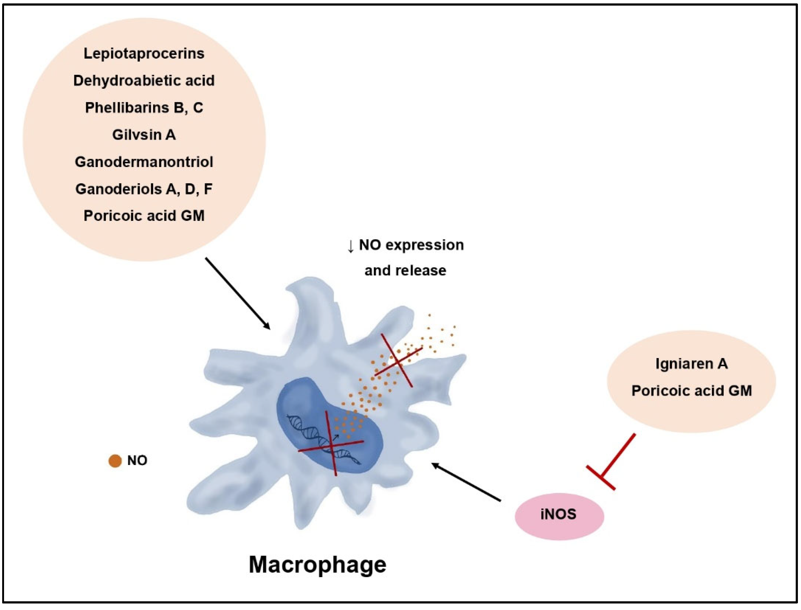 Molecules 29 01183 g004